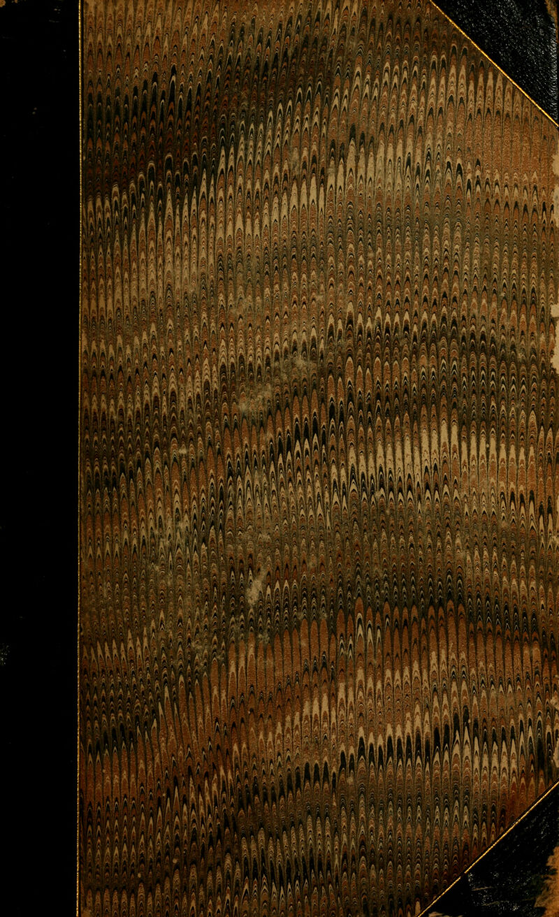 ëmm \ rélàj\fyr\\ \n A iwffMffiiuffî r k ■ ■ Ijî ' -~ iiifi 1 i ? ïï < 11 - y 1 &i> 'm M, SHMÉI /