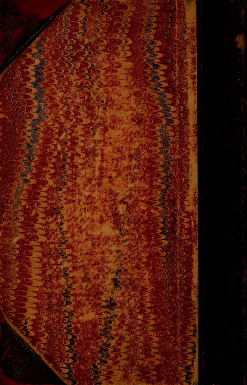 m -3ÊÏ %M flp- « fe'5 A** sjAÈjà'sT