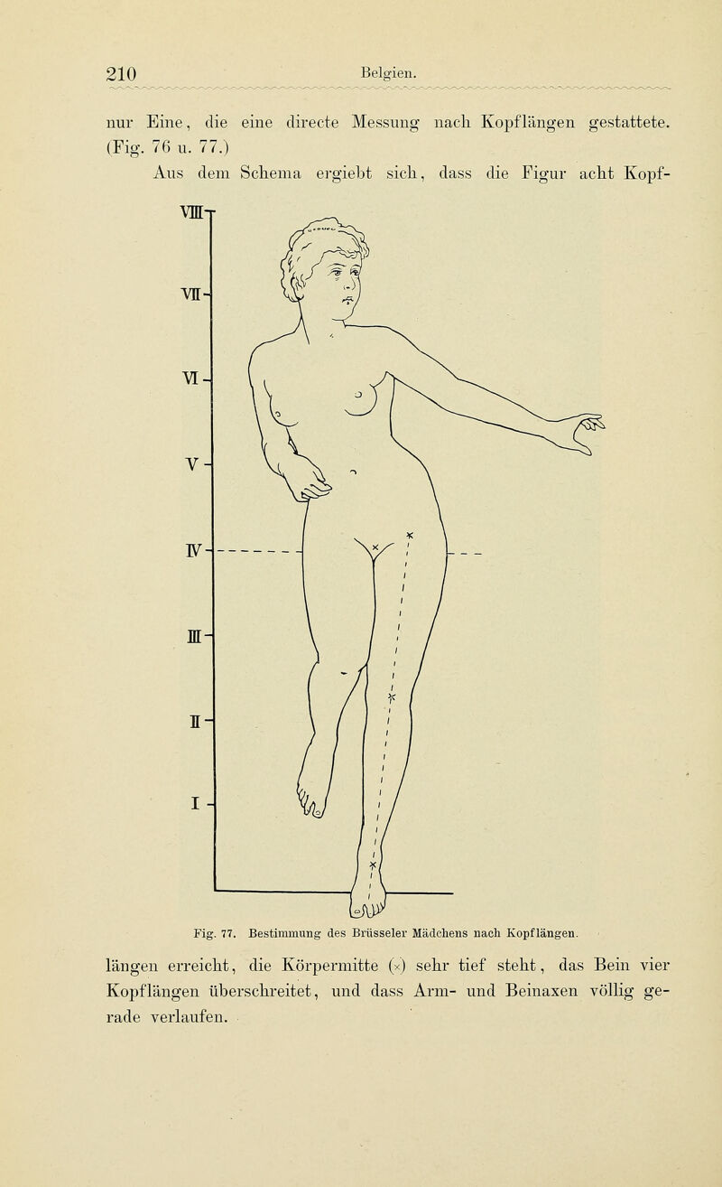 nur Eine, die eine directe Messung nach Kopflängen gestattete. (Fig. 76 u. 77.) Aus dem Schema ergiebt sich, dass die Figur acht Kopf- VDIt ATE- Fig. 77. Bestimmung des Brüsseler Mädchens nach Kopflängen. längen erreicht, die Körpermitte (x) sehr tief steht, das Bein vier Kopflängen überschreitet, und dass Arm- und Beinaxen völlig ge- rade verlaufen.