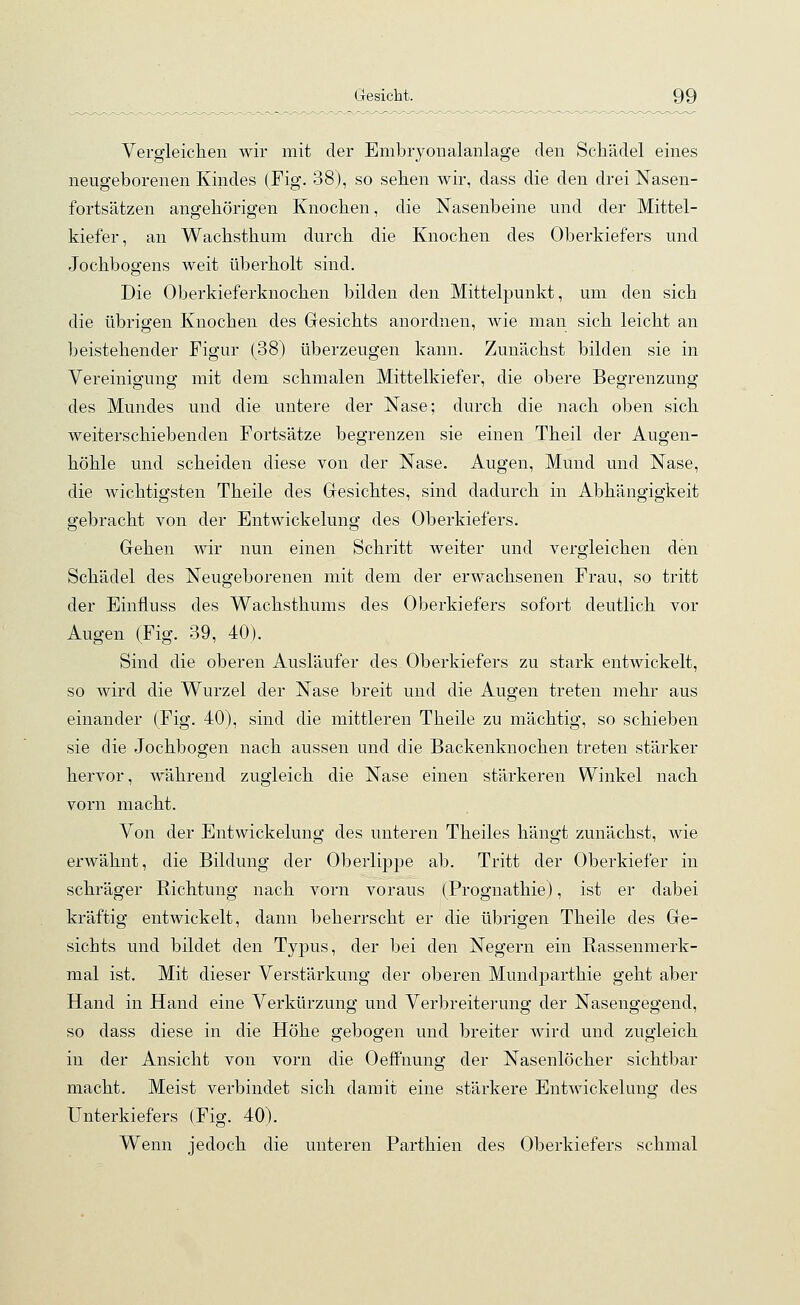 Vergleichen wir mit der Embryonalanlage den Schädel eines neugeborenen Kindes (Fig. 38), so sehen wir, dass die den drei Nasen- fortsätzen angehörigen Knochen, die Nasenbeine und der Mittel- kiefer, an Wachsthum durch die Knochen des Oberkiefers und Jochbogens weit überholt sind. Die Oberkieferknochen bilden den Mittelpunkt, um den sich die übrigen Knochen des Gesichts anordnen, wie man sich leicht an beistehender Figur (38) überzeugen kann. Zunächst bilden sie in Vereinigung mit dem schmalen Mittelkiefer, die obere Begrenzung des Mundes und die untere der Nase; durch die nach oben sich weiterschiebenden Fortsätze begrenzen sie einen Theil der Augen- höhle und scheiden diese von der Nase. Augen, Mund und Nase, die Avichtigsten Theile des Gesichtes, sind dadurch in Abhängigkeit gebracht von der Entwickelung des Oberkiefers. Gehen wir nun einen Schritt weiter und vergleichen den Schädel des Neugeborenen mit dem der erwachsenen Frau, so tritt der Einfluss des Wachsthums des Oberkiefers sofort deutlich vor Augen (Fig. 39, 40). Sind die oberen Ausläufer des Oberkiefers zu stark entwickelt, so wird die Wurzel der Nase breit und die Augen treten mehr aus einander (Fig. 40), sind die mittleren Theile zu mächtig, so schieben sie die Jochbogen nach aussen und die Backenknochen treten stärker hervor, während zugleich die Nase einen stärkeren Winkel nach vorn macht. Von der Entwickelung des unteren Theiles hängt zunächst, wie erwähnt, die Bildung der Oberlippe ab. Tritt der Oberkiefer in schräger Richtung nach vorn voraus (Prognathie), ist er dabei kräftig entwickelt, dann beherrscht er die übrigen Theile des Ge- sichts und bildet den Typus, der bei den Negern ein Rassenmerk- mal ist. Mit dieser Verstärkung der oberen Mundparthie geht aber Hand in Hand eine Verkürzung und Verbreiterung der Nasengegend, so dass diese in die Höhe gebogen und breiter wird und zugleich in der Ansicht von vorn die Oeffnung der Nasenlöcher sichtbar macht. Meist verbindet sich damit eine stärkere Entwickelung des Unterkiefers (Fig. 40). Wenn jedoch die unteren Parthien des Oberkiefers schmal