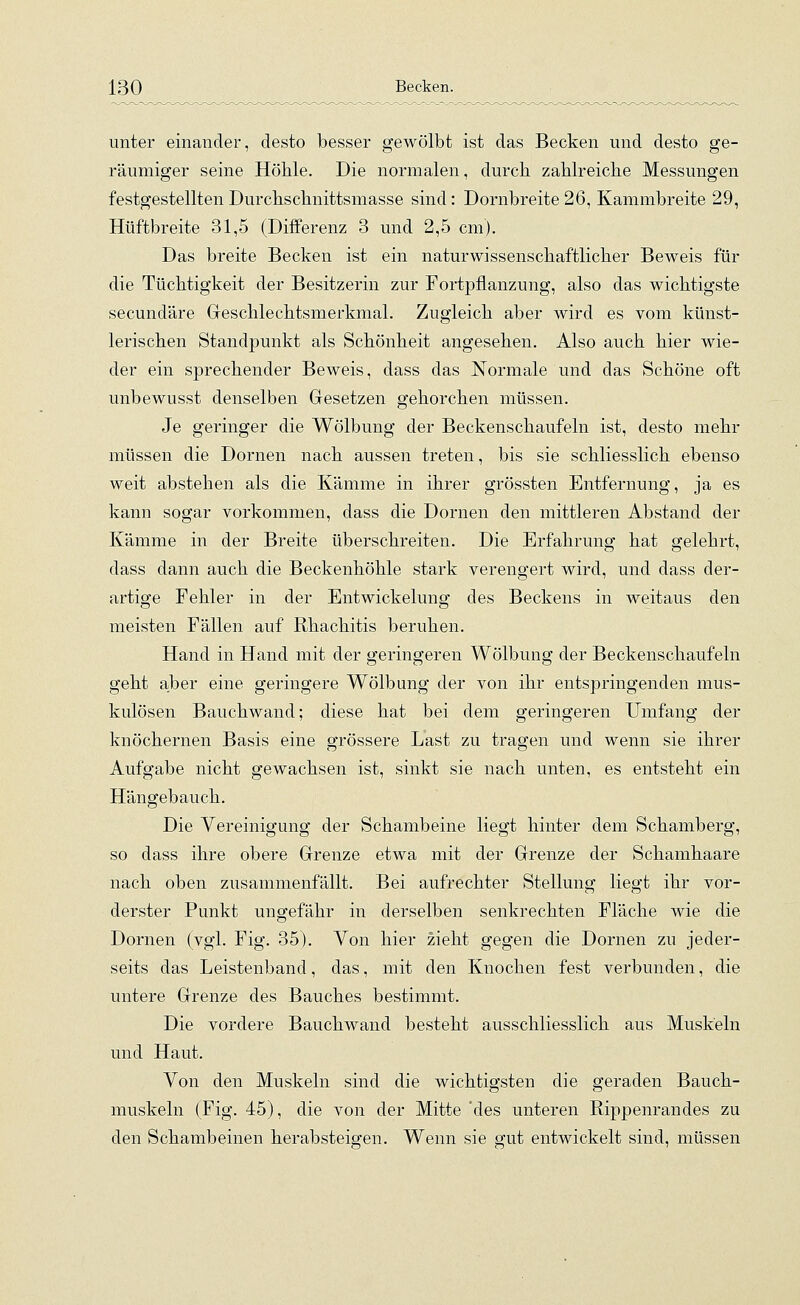 unter einander, desto besser gewölbt ist das Becken und desto ge- räumiger seine Höhle. Die normalen, durch zahlreiche Messungen festgestellten Durchschnittsmasse sind: Dornbreite 26, Kammbreite 29, Hüftbreite 31,5 (Differenz 3 und 2,5 cm). Das breite Becken ist ein naturwissenschaftlicher Beweis für die Tüchtigkeit der Besitzerin zur Fortpflanzung, also das wichtigste secundäre Geschlechtsmerkmal. Zugleich aber wird es vom künst- lerischen Standpunkt als Schönheit angesehen. Also auch hier wie- der ein sprechender Beweis, dass das Normale und das Schöne oft unbewusst denselben Gesetzen gehorchen müssen. Je geringer die Wölbung der Beckenschaufeln ist, desto mehr müssen die Dornen nach aussen treten, bis sie schliesslich ebenso weit abstehen als die Kämme in ihrer grössten Entfernung, ja es kann sogar vorkommen, dass die Dornen den mittleren Abstand der Kämme in der Breite überschreiten. Die Erfahrung hat gelehrt, dass dann auch die Beckenhöhle stark verengert wird, und dass der- artige Fehler in der Entwickelung des Beckens in weitaus den meisten Fällen auf Rhachitis beruhen. Hand in Hand mit der geringeren Wölbung der Beckenschaufeln geht aber eine geringere Wölbung der von ihr entspringenden mus- kulösen Bauchwand; diese hat bei dem geringeren Umfang der knöchernen Basis eine grössere Last zu tragen und wenn sie ihrer Aufgabe nicht gewachsen ist, sinkt sie nach unten, es entsteht ein Hängebauch. Die Vereinigung der Schambeine liegt hinter dem Schamberg, so dass ihre obere Grenze etwa mit der Grenze der Schamhaare nach oben zusammenfällt. Bei aufrechter Stellung liegt ihr vor- derster Punkt ungefähr in derselben senkrechten Fläche wie die Dornen (vgl. Fig. 35). Von hier zieht gegen die Dornen zu jeder- seits das Leistenband, das, mit den Knochen fest verbunden, die untere Grenze des Bauches bestimmt. Die vordere Bauchwand besteht ausschliesslich aus Muskeln und Haut. Von den Muskeln sind die wichtigsten die geraden Bauch- muskeln (Fig. 45), die von der Mitte 'des unteren Rippenrandes zu den Schambeinen herabsteigen. Wenn sie gut entwickelt sind, müssen