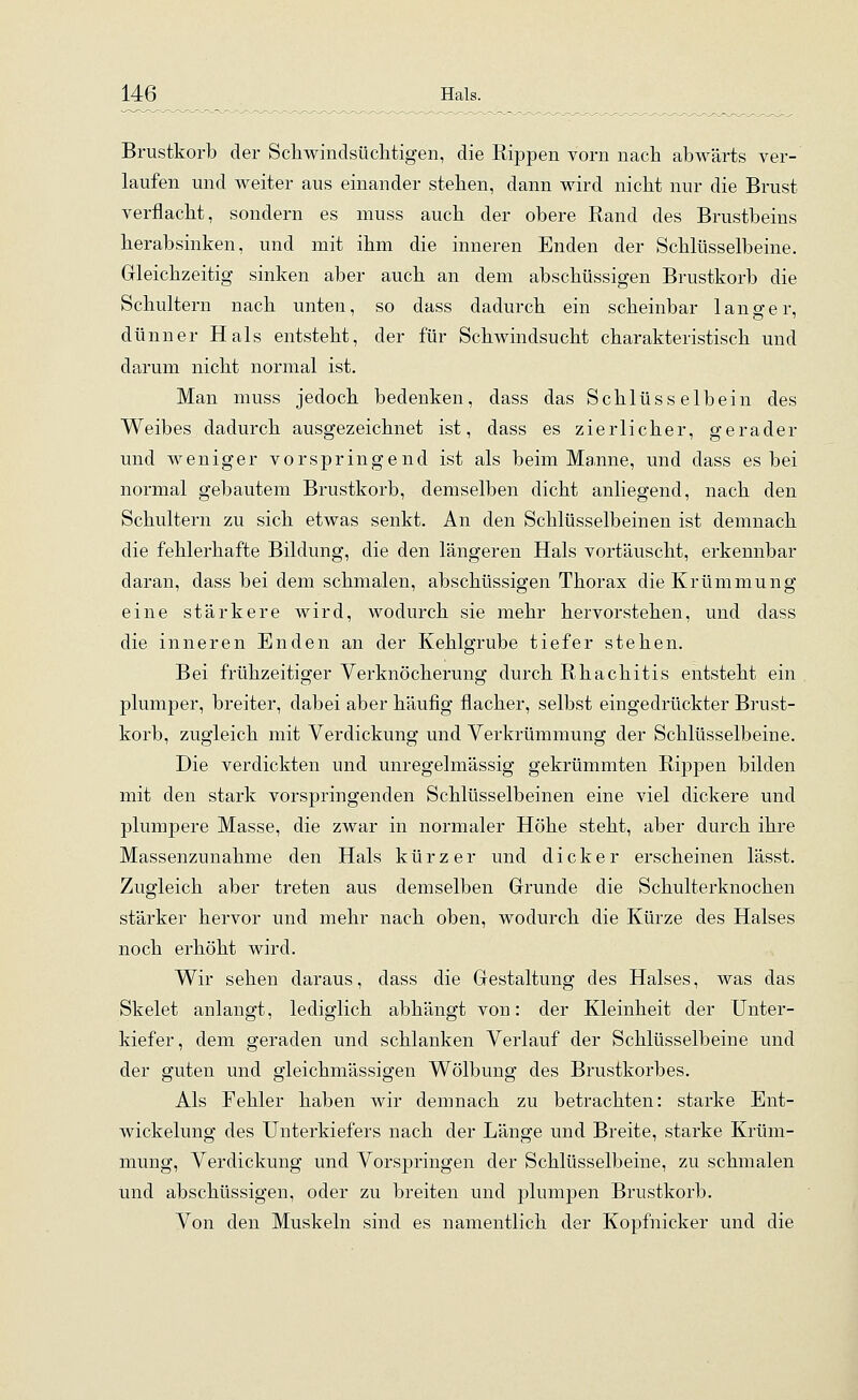 Brustkorb der Schwindsüchtigen, die Rippen vorn nach abwärts ver- laufen und weiter aus einander stehen, dann wird nicht nur die Brust verflacht, sondern es muss auch der obere Rand des Brustbeins herabsinken, und mit ihm die inneren Enden der Schlüsselbeine. Gleichzeitig sinken aber auch an dem abschüssigen Brustkorb die Schultern nach unten, so dass dadurch ein scheinbar langer, dünner Hals entsteht, der für Schwindsucht charakteristisch und darum nicht normal ist. Man muss jedoch bedenken, dass das Schlüsselbein des Weibes dadurch ausgezeichnet ist, dass es zierlicher, gerader und weniger vorspringend ist als beim Manne, und dass es bei normal gebautem Brustkorb, demselben dicht anliegend, nach den Schultern zu sich etwas senkt. An den Schlüsselbeinen ist demnach die fehlerhafte Bildung, die den längeren Hals vortäuscht, erkennbar daran, dass bei dem schmalen, abschüssigen Thorax die Krümmung eine stärkere wird, wodurch sie mehr hervorstehen, und dass die inneren Enden an der Kehlgrube tiefer stehen. Bei frühzeitiger Verknöcherung durch Rhachitis entsteht ein plumper, breiter, dabei aber häufig flacher, selbst eingedrückter Brust- korb, zugleich mit Verdickung und Verkrümmung der Schlüsselbeine. Die verdickten und unregelmässig gekrümmten Rippen bilden mit den stark vorspringenden Schlüsselbeinen eine viel dickere und plumpere Masse, die zwar in normaler Höhe steht, aber durch ihre Massenzunahme den Hals kürzer und dicker erscheinen lässt. Zugleich aber treten aus demselben Grunde die Schulterknochen stärker hervor und mehr nach oben, wodurch die Kürze des Halses noch erhöht wird. Wir sehen daraus, dass die Gestaltung des Halses, was das Skelet anlangt, lediglich abhängt von: der Kleinheit der Unter- kiefer, dem geraden und schlanken Verlauf der Schlüsselbeine und der guten und gleichmässigen Wölbung des Brustkorbes. Als Fehler haben wir demnach zu betrachten: starke Ent- wickelung des Unterkiefers nach der Länge und Breite, starke Krüm- mung, Verdickung und Vorspringen der Schlüsselbeine, zu schmalen und abschüssigen, oder zu breiten und plumpen Brustkorb. Von den Muskeln sind es namentlich der Kopfnicker und die