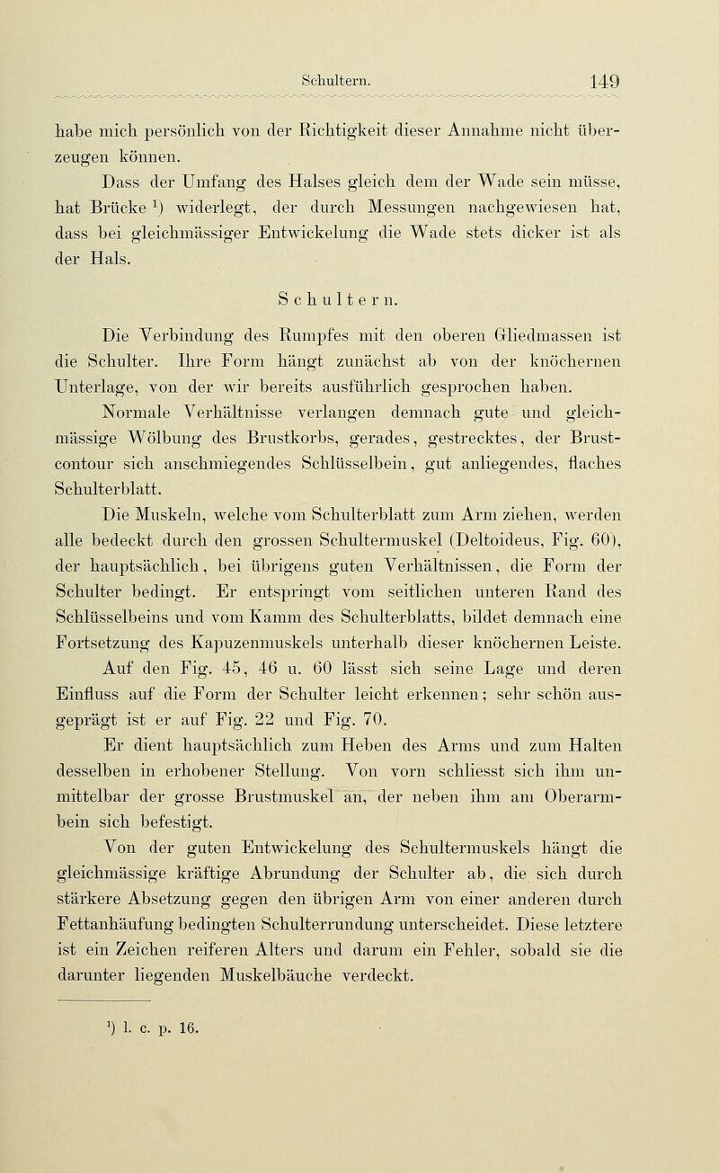 habe mich persönlich von der Richtigkeit dieser Annahme nicht über- zeugen können. Dass der Umfang des Halses gleich dem der Wade sein müsse, hat Brückex) widerlegt, der durch Messungen nachgewiesen hat, dass bei gleichmässiger Entwickelung die Wade stets dicker ist als der Hals. Schultern. Die Verbindung des Rumpfes mit den oberen Gliedmassen ist die Schulter. Ihre Form hängt zunächst ab von der knöchernen Unterlage, von der wir bereits ausführlich gesprochen haben. Normale Verhältnisse verlangen demnach gute und gleich- massige Wölbung des Brustkorbs, gerades, gestrecktes, der Brust- contour sich anschmiegendes Schlüsselbein, gut anliegendes, flaches Schulterblatt. Die Muskeln, welche vom Schulterblatt zum Arm ziehen, werden alle bedeckt durch den grossen Schultermuskel (Deltoideus, Fig. 60), der hauptsächlich, bei übrigens guten Verhältnissen, die Form der Schulter bedingt. Er entspringt vom seitlichen unteren Rand des Schlüsselbeins und vom Kamm des Schulterblatts, bildet demnach eine Fortsetzung des Kapuzenmuskels unterhalb dieser knöchernen Leiste. Auf den Fig. 45, 46 u. 60 lässt sich seine Lage und deren Einfluss auf die Form der Schulter leicht erkennen; sehr schön aus- geprägt ist er auf Fig. 22 und Fig. 70. Er dient hauptsächlich zum Heben des Arms und zum Halten desselben in erhobener Stellung. Von vorn schliesst sich ihm un- mittelbar der grosse Brustmuskel an, der neben ihm am Oberarm- bein sich befestigt. Von der guten Entwickelung des Schultermuskels hängt die gleichmässige kräftige Abrundung der Schulter ab, die sich durch stärkere Absetzung gegen den übrigen Arm von einer anderen durch Fettanhäufung bedingten Schulterrundung unterscheidet. Diese letztere ist ein Zeichen reiferen Alters und darum ein Fehler, sobald sie die darunter liegenden Muskelbäuche verdeckt. ]) 1. c. p. 16.