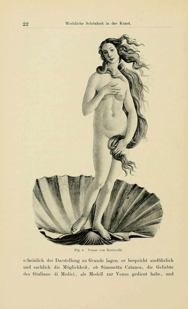 Fig. 6. Venus von Botticelli. scheinlich der Darstellung zu Grunde lagen, er bespricht ausführlich und sachlich die Möglichkeit, ob Simonetta Catanea, die Geliebte des Giuliano di Medici, als Modell zur Venus gedient habe, und