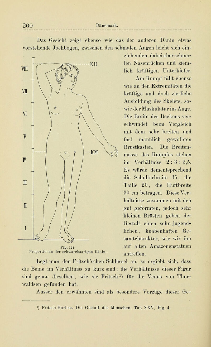Das Gesicht zeigt ebenso wie das der anderen Dänin etwas vorstehende Jochbogen, zwischen den schmalen Augen leicht sich ein- ziehenden, dabei aber schma- len Nasenrücken und ziem- lich kräftigen Unterkiefer. Am Rumpf fällt ebenso wie an den Extremitäten die kräftige und doch zierliche Ausbildung des Skelets, so- wie der Muskulatur ins Auge. Die Breite des Beckens ver- schwindet beim Vergleich mit dem sehr breiten und fast männlich gewölbten Brustkasten. Die Breiten- masse des Rumpfes stehen im Verhältniss 2 : 3 : 3,5. Es würde dementsprechend die Schulterbreite 35, die Taille 20, die Hüftbreite 30 cm betragen. Diese Ver- hältnisse zusammen mit den gut geformten, jedoch sehr kleinen Brüsten geben der Grestalt einen sehr jugend- lichen , knabenhaften Ge- samtcharakter, wie wir ihn auf alten Amazonenstatuen antreffen. Legt man den Fritsch'schen Schlüssel an, so ergiebt sich, dass die Beine im Verhältniss zu kurz sind; die Verhältnisse dieser Figur sind genau dieselben, wie sie Fritsch ^) für die Venus von Thor- waldsen gefunden hat. Ausser den erwähnten sind als besondere Vorzüge dieser Ge- Fig. 121. Proportionen der schwarzhaarigen Dänin. ^) Fritsch-Harless, Die Gestalt des Menschen, Taf. XXV, Fig. 4.