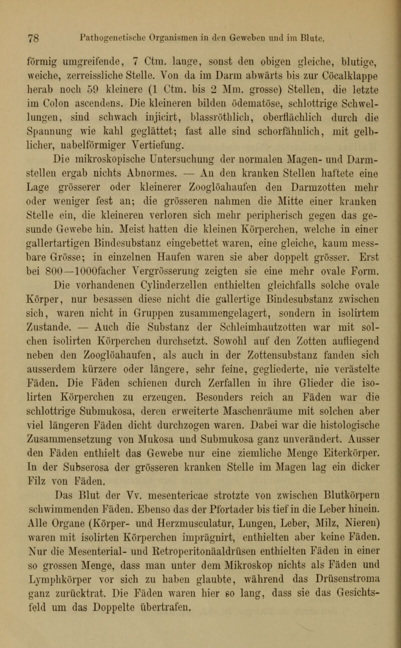 förmig umgreifende, 7 Ctm. lange, sonst den obigen gleiche, blutige, Aveiche, zerreissliche Stelle. Von da im Darm abwärts bis zur Cöcalklappe herab noch 59 kleinere (1 Ctm. bis 2 Mm. grosse) Stellen, die letzte im Colon ascendens. Die kleineren bilden ödematöse, schlottrige Schwel- lungen, sind schwach injicirt, blassröthlich, oberflächlich durch die Spannung wie kahl geglättet; fast alle sind schorfähnlich, mit gelb- licher, nah eiförmiger Vertiefung. Die mikroskopische Untersuchung der normalen Magen- und Darm- stellen ergab nichts Abnormes. — An den kranken Stellen haftete eine Lage grösserer oder kleinerer Zooglöahaufen den Darmzotten mehr oder weniger fest an; die grösseren nahmen die Mitte einer kranken Stelle ein, die kleineren verloren sich mehr peripherisch gegen das ge- sunde Gewebe hin. Meist hatten die kleinen Körperchen, welche in einer gallertartigen Bindesubstanz eingebettet waren, eine gleiche, kaum mess- bare Grösse; in einzelnen Haufen waren sie aber doppelt grösser. Erst bei 800—lOOOfacher Vergrösserung zeigten sie eine mehr ovale Form. Die vorhandenen Cylinderzellen enthielten gleichfalls solche ovale Körper, nur besassen diese nicht die gallertige Bindesubstanz zwischen sich, waren nicht in Gruppen zusammengelagert, sondern in isolirtem Zustande. — Auch die Substanz der Schleimhautzotten w^ar mit sol- chen isolirten Körperchen durchsetzt. SoAvohl auf den Zotten aufliegend neben den Zooglöahaufen, als auch in der Zottensubstanz fanden sich ausserdem kürzere oder längere, sehr feine, gegliederte, nie verästelte Fäden. Die Fäden schienen durch Zerfallen in ihre Glieder die iso- lirten Körperchen zu erzeugen. Besonders reich an Fäden war die schlottrige Submukosa, deren erweiterte Maschenräume mit solchen aber viel längeren Fäden dicht durchzogen waren. Dabei war die histologische Zusammensetzung von Mukosa und Submukosa ganz unverändert. Ausser den Fäden enthielt das Gewebe nur eine ziemliche Menge Eiterkörper. In der Subserosa der grösseren kranken Stelle im Magen lag ein dicker Filz von Fäden. Das Blut der Vv. mesentericae strotzte von zwischen Blutkörpern schwimmenden Fäden. Ebenso das der Pfortader bis tief in die Leber hinein. Alle Organe (Körper- und Herzmusculatur, Lungen, Leber, Milz, Nieren) waren mit isolirten Körperchen imprägnirt, enthielten aber keine Fäden. Nur die Mesenterial- und Retroperitonäaldrüsen enthielten Fäden in einer so grossen Menge, dass man unter dem Mikroskop nichts als Fäden und Lymphkörper vor sich zu haben glaubte, während das Drüsenstroma ganz zurücktrat. Die Fäden waren hier so lang, dass sie das Gesichts- feld um das Doppelte übertrafen.