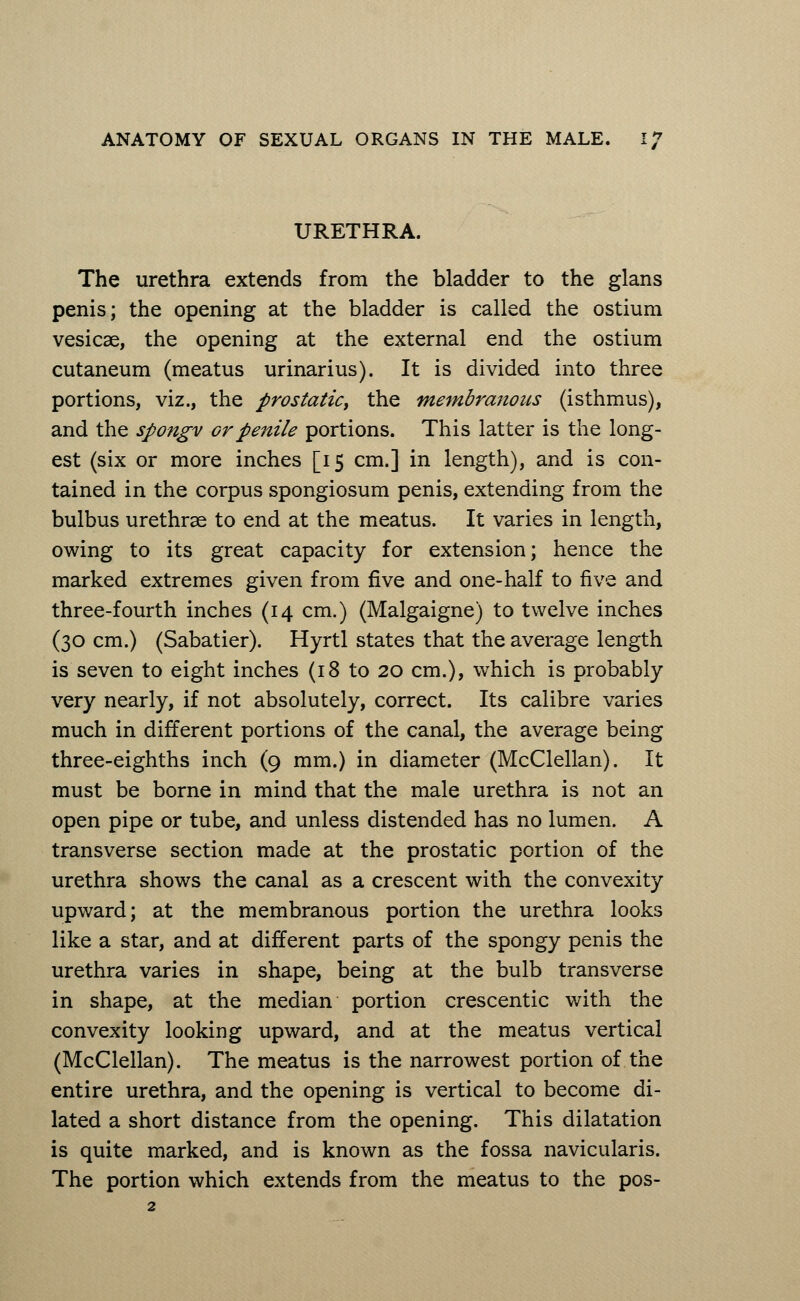 URETHRA. The urethra extends from the bladder to the glans penis; the opening at the bladder is called the ostium vesicae, the opening at the external end the ostium cutaneum (meatus urinarius). It is divided into three portions, viz., the prostatic, the membranous (isthmus), and the spongv or penile portions. This latter is the long- est (six or more inches [15 cm.] in length), and is con- tained in the corpus spongiosum penis, extending from the bulbus urethras to end at the meatus. It varies in length, owing to its great capacity for extension; hence the marked extremes given from five and one-half to five and three-fourth inches (14 cm.) (Malgaigne) to twelve inches (30 cm.) (Sabatier). Hyrtl states that the average length is seven to eight inches (18 to 20 cm.), which is probably very nearly, if not absolutely, correct. Its calibre varies much in different portions of the canal, the average being three-eighths inch (9 mm.) in diameter (McClellan). It must be borne in mind that the male urethra is not an open pipe or tube, and unless distended has no lumen. A transverse section made at the prostatic portion of the urethra shows the canal as a crescent with the convexity upward; at the membranous portion the urethra looks like a star, and at different parts of the spongy penis the urethra varies in shape, being at the bulb transverse in shape, at the median portion crescentic with the convexity looking upward, and at the meatus vertical (McClellan). The meatus is the narrowest portion of the entire urethra, and the opening is vertical to become di- lated a short distance from the opening. This dilatation is quite marked, and is known as the fossa navicularis. The portion which extends from the meatus to the pos-