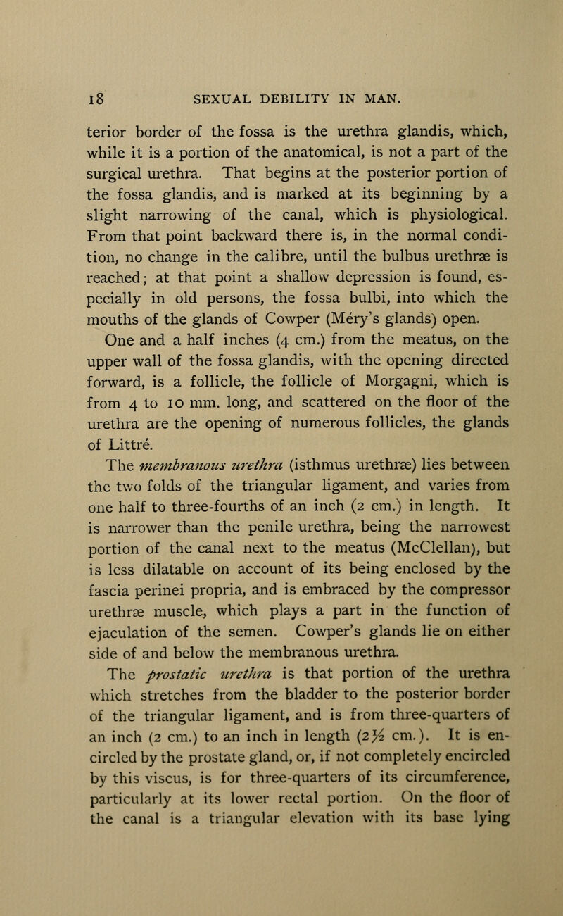 terior border of the fossa is the urethra glandis, which, while it is a portion of the anatomical, is not a part of the surgical urethra. That begins at the posterior portion of the fossa glandis, and is marked at its beginning by a slight narrowing of the canal, which is physiological. From that point backward there is, in the normal condi- tion, no change in the calibre, until the bulbus urethrae is reached; at that point a shallow depression is found, es- pecially in old persons, the fossa bulbi, into which the mouths of the glands of Cowper (Mery's glands) open. One and a half inches (4 cm.) from the meatus, on the upper wall of the fossa glandis, with the opening directed forward, is a follicle, the follicle of Morgagni, which is from 4 to 10 mm. long, and scattered on the floor of the urethra are the opening of numerous follicles, the glands of Littre. The membranous urethra (isthmus urethrae) lies between the two folds of the triangular ligament, and varies from one half to three-fourths of an inch (2 cm.) in length. It is narrower than the penile urethra, being the narrowest portion of the canal next to the meatus (McClellan), but is less dilatable on account of its being enclosed by the fascia perinei propria, and is embraced by the compressor urethras muscle, which plays a part in the function of ejaculation of the semen. Cowper's glands lie on either side of and below the membranous urethra. The prostatic urethra is that portion of the urethra which stretches from the bladder to the posterior border of the triangular ligament, and is from three-quarters of an inch (2 cm.) to an inch in length (2% cm.). It is en- circled by the prostate gland, or, if not completely encircled by this viscus, is for three-quarters of its circumference, particularly at its lower rectal portion. On the floor of the canal is a triangular elevation with its base lying