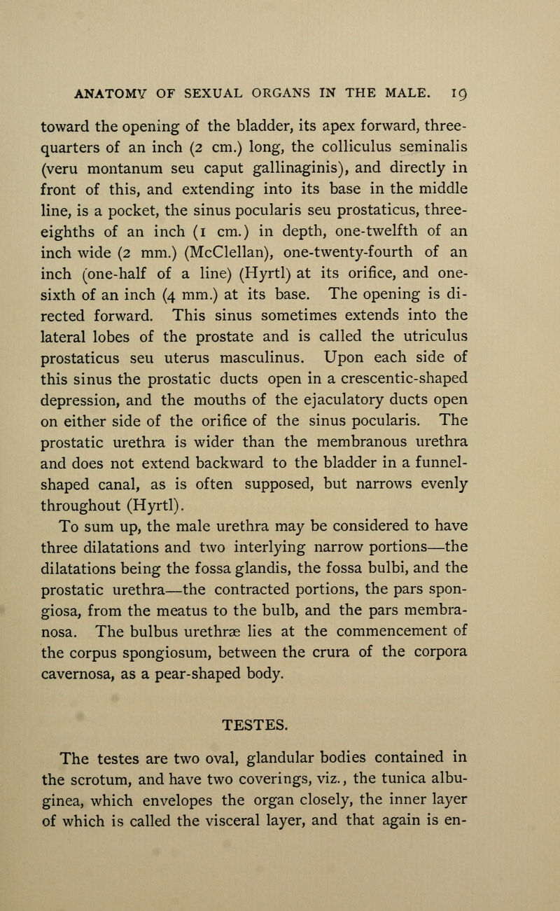 toward the opening of the bladder, its apex forward, three- quarters of an inch (2 cm.) long, the colliculus seminalis (veru montanum seu caput gallinaginis), and directly in front of this, and extending into its base in the middle line, is a pocket, the sinus pocularis seu prostaticus, three- eighths of an inch (1 cm.) in depth, one-twelfth of an inch wide (2 mm.) (McClellan), one-twenty-fourth of an inch (one-half of a line) (Hyrtl) at its orifice, and one- sixth of an inch (4 mm.) at its base. The opening is di- rected forward. This sinus sometimes extends into the lateral lobes of the prostate and is called the utriculus prostaticus seu uterus masculinus. Upon each side of this sinus the prostatic ducts open in a crescentic-shaped depression, and the mouths of the ejaculatory ducts open on either side of the orifice of the sinus pocularis. The prostatic urethra is wider than the membranous urethra and does not extend backward to the bladder in a funnel- shaped canal, as is often supposed, but narrows evenly throughout (Hyrtl). To sum up, the male urethra may be considered to have three dilatations and two interlying narrow portions—the dilatations being the fossa glandis, the fossa bulbi, and the prostatic urethra—the contracted portions, the pars spon- giosa, from the meatus to the bulb, and the pars membra- nosa. The bulbus urethrae lies at the commencement of the corpus spongiosum, between the crura of the corpora cavernosa, as a pear-shaped body. TESTES. The testes are two oval, glandular bodies contained in the scrotum, and have two coverings, viz., the tunica albu- ginea, which envelopes the organ closely, the inner layer of which is called the visceral layer, and that again is en-