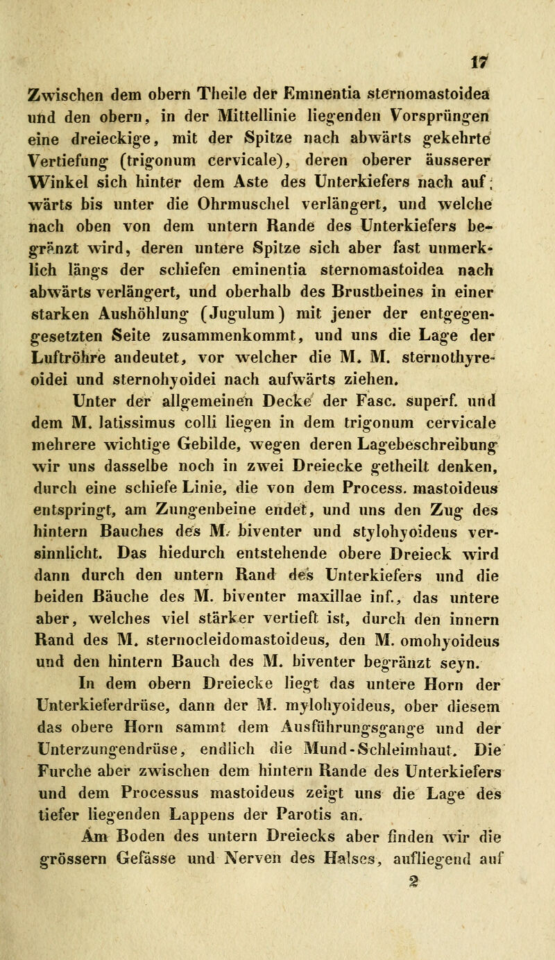 Zwischen dem oberii Theile der Emmentia sternomastoideä und den obern, in der Mittellinie liegenden Vorsprüngen eine dreieckige, mit der Spitze nach abwärts gekehrte Vertiefung (trigonum cervicale), deren oberer äusserer Winkel sich hinter dem Aste des Unterkiefers nach auf; wärts bis unter die Ohrmuschel verlängert, und welche nach oben von dem untern Rande des Unterkiefers be* gränzt wird, deren untere Spitze sich aber fast unmerk- lich längs der schiefen eminentia sternomastoideä nach abw^ärts verlängert, und oberhalb des Brustbeines in einer starken Aushöhlung (Jugulum) mit jener der entgegen- gesetzten Seite zusammenkommt, und uns die Lage der Luftröhre andeutet, vor welcher die M* M. sternothjre- oidei und sternohjoidei nach aufwärts ziehen» Unter der allgemeinen Decke der Fase, superf. und dem M. latissimus colli liegen in dem trigonum cervicale mehrere wichtige Gebilde, wegen deren Lagebeschreibung wir uns dasselbe noch in zwei Dreiecke getheilt denken, durch eine schiefe Linie, die von dem Process. mastoideus entspringt, am Zungenbeine endet, und uns den Zug des hintern Bauches des M. biventer und stjlohjoideus ver- sinnlicht. Das hiedurch entstehende obere Dreieck wird dann durch den untern Rand des Unterkiefers und die beiden Bäuche des M. biventer maxillae inf., das untere aber, welches viel stärker vertieft ist, durch den innern Rand des M, sternocleidomastoideus, den M. omohjoideus und den hintern Bauch des M. biventer begränzt sejn. In dem obern Dreiecke liegt das untere Hörn der Unterkieferdrüse, dann der M. mylohyoideus, ober diesem das obere Hörn sammt dem Ausführungsgange und der Unterzungendrüse, endlich die Mund-Schleimhaut, Die Furche aber zwischen dem hintern Rande deis Unterkiefers und dem Processus mastoideus zeigt uns die Lage des liefer liegenden Lappens der Parotis an. Am Boden des untern Dreiecks aber finden wir die grössern Gefässe und Nerven des Halses, aufliegend auf 2