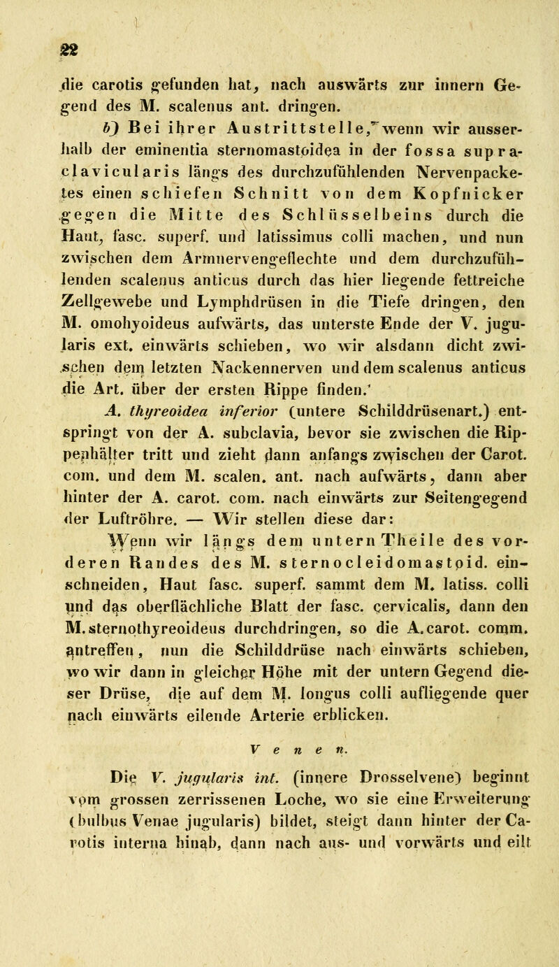 ßie carotis ^'efunden hat, nach auswärts zur innern Ge- gend des M. scalenus ant. dringen. bji Bei ihrer Austrittstelle,''wenn wir ausser- lialh der eminentia sternomastöidea in der fossa supra- clavicularis längs des durchzufühlenden Nervenpacke- tes einen schiefen Schnitt von dem Kopfnicker gegen die ]\I i 11 e des Schlüsselbeins durch die Haut^ fasc. superf. und latissimus colli machen, und nun zwischen dem Armnervengeflechte und dem durchzufüh- lenden scalenus anticus durch das hier liegende fettreiche Zellgewebe und Lymphdrüsen in die Tiefe dringen, den M. omohjoideus aufwärts, das unterste Ende der V. jug-u- laris ext. einwärts schieben, avo wir alsdann dicht zwi- schen dem letzten Nackennerven und dem scalenus anticus die Art. über der ersten Rippe finden/ A, thyreoidea inferior (untere Schilddrüsenart») ent- springt von der A. subclavia, bevor sie zwischen die Rip- pephälter tritt und zieht dann anfangs zvs^ischen der Carot. com. und dem M. Scalen, ant. nach aufwärts, dann aber hinter der A. carot. com. nach einwärts zur Seitengegend der Luftröhre. — Wir stellen diese dar: VVenn wir längs dem untern Theile des vor- deren Randes des M. sternocleidomastpid. ein- schneiden. Haut fasc. superf. sammt dem M. latiss. colli pnd d^s oberflächliche Blatt der fasc. cervicalis, dann den M.sternqthjreoideus durchdringen, so die A.carot. conjm. ?|ntreffen, nun die Schilddrüse nach einwärts schieben, wo wir dann in gleicher Höhe mit der untern Gegend die- ser Drüse, die auf dem M. longus colli aufliegende quer nach einwärts eilende Arterie erblicken. Venen. Die F. jugularis int. (innere Drosselvene) beginnt vpm grossen zerrissenen Loche, wo sie eine Erweiterung- (bulbus Venae jugularis) bildet, steigt dann hinter der Ca- rotis interna hinab, dann nach aus- und vorwärts und eilt