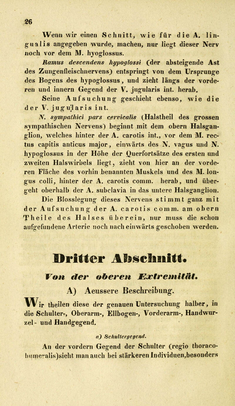 Wenn wir einen Schnitt^ wie für die A. lin- gual is angegeben wurde, machen, nur liegt dieser Nerv noch vor dem M. hjoglossus. Ramus descendens hypoglossi Cder absteigende Ast des Zungenfleischnervens) entspringt von dem Ursprünge des Bogens rdes hjpoglossus, und zieht längs der vorde- ren und innern Gegend der ¥♦ jugularis int. herab. Seine Aufsuchung geschieht ebenso, wie die der V. jugujlaris int, N. sympathici pars cßrmcalis cHalstheil des grossen sympathischen Nervens) beginnt mit dem obern Halsgan- glion, welches hinter der A. carotis int», vor dem M. rec- tus capitis anticus major, einwärts des N. vagus und N. hjpoglossus in der Höhe der Querfortsätze des ersten und zweiten Halswirbels liegt, zieht von hier an der vorde- ren Fläche des vorhin benannten Muskels und des M. lon- gus colli, hinter der A. carotis comm. herab, und über- geht oberhalb der A» subclavia in das untere Halsganglion. Die Blosslegung dieses Nervens stimmt ganz mit der Aufsuchung der A. carotis comm. am obern Theile des Halses überein, nur muss die schon aufgefundene Arlerie noch nach einwärts geschoben werden. Dritter Alsscliiiitt« Von der oberen EüoiremUäi. A) Aeussere Beschreibung-. Wir theilen diese der genauen Untersuchung halber, in die Schulter-, Oberarm-, Ellbogen-, Vorderarm-, Handwur- zel- und Handgegend, a^ SchuUergegend. An der vordem Gegend der Schulter (regio thoraco- hHrTieralis)sieht man auch bei stärkeren Individuen,besonders