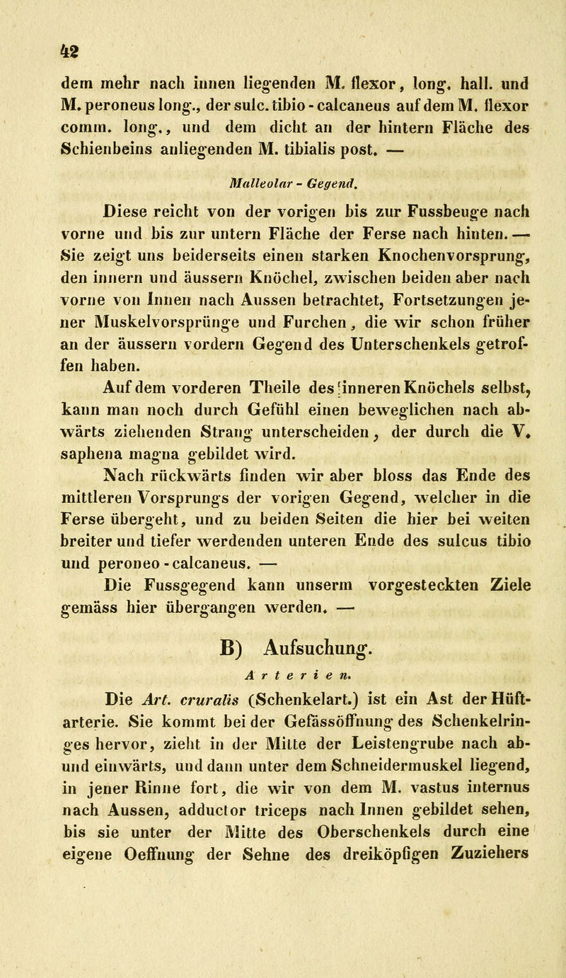 dem mehr nach innen liegenden M, flexor, long, hall, und M» peroneus long., dersulc.tibio-calcaaeus auf dem M. flexor comm. long«, und dem dicht an der hintern Fläche des Schienbeins anliegenden M. tibialis post, — Malleolar - Gegend. Diese reicht von der vorigen bis zur Fussbeuge nach vorne und bis zur untern Fläche der Ferse nach hinten. — Sie zeigt uns beiderseits einen starken Knochenvorsprung*, den innern und äussern Knöchel, zwischen beiden aber nach vorne von Innen nach Aussen betrachtet, Fortsetzungen je- ner Muskelvorsprünge und Furchen, die v^ir schon früher an der äussern vordem Gegend des Unterschenkels getrof- fen haben. Auf dem vorderen Theile des-inneren Knöchels selbst, kann man noch durch Gefühl einen beweglichen nach ab- wärts ziehenden Strang unterscheiden ^ der durch die ¥♦ saphena magna gebildet wird. Nach rückwärts finden wir aber bloss das Ende des mittleren Vorsprungs der vorigen Gegend, welcher in die Ferse übergeht, und zu beiden Seiten die hier bei weiten breiter und tiefer werdenden unteren Ende des sulcus tibio und peroneo-calcaneus. — Die Fussgegend kann unserm vorgesteckten Ziele gemäss hier übergangen werden, — B) Aufsuchung. Arterien. Die Art. cruralis (Schenkelart.) ist ein Ast der Hüft- arterie. Sie kommt bei der GefässöfFnung* des Schenkelrin- ges hervor, zieht in der Mitte der Leistengrube nach ab- und einwärts, und dann unter dem Schneidermuskel liegend, in jener Rinne fort, die wir von dem M. vastus internus nach Aussen, adductor triceps nach Innen gebildet sehen, bis sie unter der Mitte des Oberschenkels durch eine eigene OefFnung der Sehne des dreiköpfigen Zuziehers