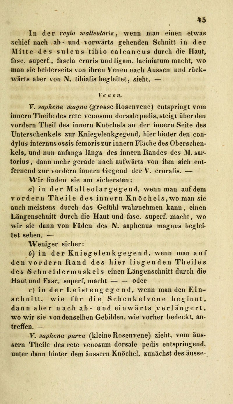 In der regio malleolaris, wenn man einen etwas «Chief nach ab- und vorwärts gehenden Schnitt in der Mitte des sulcus tibio calcaneus durch die Haut, fasc. superf., fascia cruris und ligam. laciniatum macht, wo man sie beiderseits von ihren Venen nach Aussen und rück- wärts aber von N, tibialis begleitet, sieht. — Vene n, Y. saphena magna (grosse Rosenvene) entspringt vom Innern Theile desrete venosum dorsale pedis, steigt über den vordem Theil des innern Knöchels an der innern Seite des Unterschenkels zur Kniegelenkgegend, hier hinter den con- dylus internus ossis femoris zur innern Fläche des Oberschen- kels, und nun anfangs längs des innern Randes des M. sar- torius, dann mehr gerade nach aufwärts von ihm sich ent- fernend zur vordem innern Gegend der V, cruralis. — Wir finden sie am sichersten: a) in der M all eolar gegen d, wenn man auf dem A^ ordern Theile des innern Kn öchels,wo man sie auch meisten« durch das Gefühl wahrnehmen kann, einen Längenschnitt durch die Haut und fasc« superf. macht, wo wir sie dann von Fäden des N. saphenus magnus beglei- tet sehen. — Weniger sicher: H) in der Kniegeleukgeg'end, wenn man auf den vordem Rand des hier liegenden Theiles des Schneidermuskels einen Längenschnitt durch die Haut und Fase» superf» macht oder c) in der Leistengegend, wenn man den Ein^ schnitt, wie für die Schenkelvene beginnt, dann aber nach ab- und einwärts verlängert, wo wir sie von denselben Gebilden, wie vorher bedeckt, an- treffen. — F, saphena parva (kleine Rosenvene) zieht, vom äus- sern Theile des rete venosum dorsale pedis entspringend, unter dann hinter dem äussern Knöchel, zunächst des äusse-
