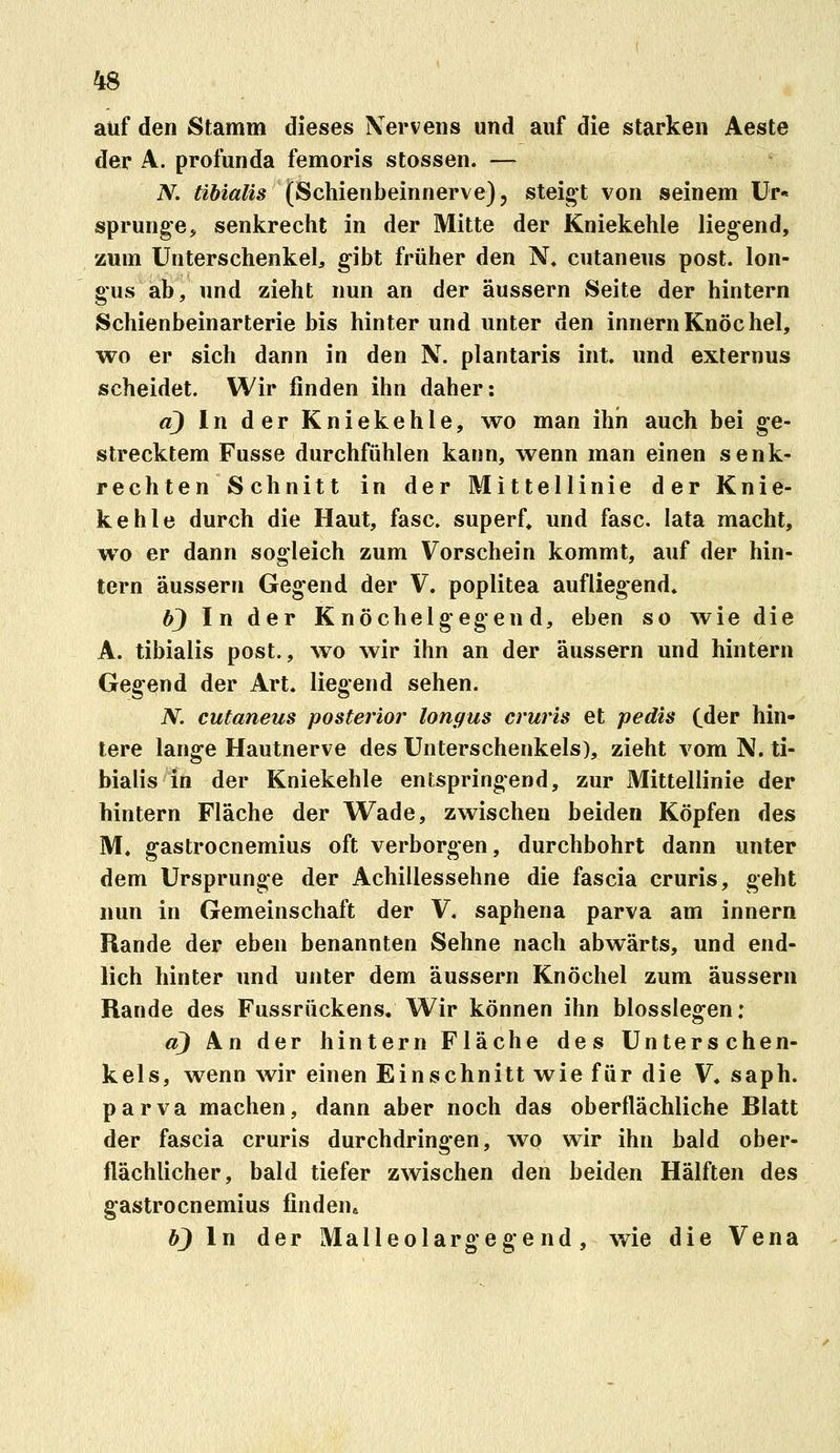 auf den Stamm dieses Nervens und auf die starken Aeste der A. profunda femoris stossen. — iV. äbialis (Schienbeinnerve}, steigt von seinem Ur- sprünge, senkrecht in der Mitte der Kniekehle liegend, zum Unterschenkel, gibt früher den N» cutaneus post. lon- gus ab, und zieht nun an der äussern Seite der hintern Schienbeinarterie bis hinter und unter den innernKnöchel, wo er sich dann in den N. plantaris int. und exlernus scheidet. Wir finden ihn daher: a) In der Kniekehle, w^o man ihn auch bei ge- strecktem Fusse durchfühlen kann, wenn man einen senk- rechten Schnitt in der Mittellinie der Knie- kehle durch die Haut, fasc. superf, und fasc. lata macht, w^o er dann sogleich zum Vorschein kommt, auf der hin- tern äussern Gegend der V. poplitea aufliegend. bj In der Knöchelgegend, eben so wie die A. tibialis post., wo wir ihn an der äussern und hintern Gegend der Art. liegend sehen. N. cutaneus posterior longus cruris et pedis (der hin- tere lange Hautnerve des Unterschenkels), zieht vom N. ti- bialis in der Kniekehle entspringend, zur Mittellinie der hintern Fläche der Wade, zwischen beiden Köpfen des M. gastrocnemius oft verborgen, durchbohrt dann unter dem Ursprünge der Achillessehne die fascia cruris, geht nun in Gemeinschaft der V. saphena parva am innern Rande der eben benannten Sehne nach abwärts, und end- lich hinter und unter dem äussern Knöchel zum äussern Rande des Fussrückens, Wir können ihn biossiegen: d) An der hintern Fläche des Unterschen- kels, wenn wir einen Einschnitt wie für die V. saph. parva machen, dann aber noch das oberflächliche Blatt der fascia cruris durchdringen, wo wir ihn bald ober- flächlicher, bald tiefer zwischen den beiden Hälften des gastrocnemius finden^ bj In der Malleolargegend, wie die Vena