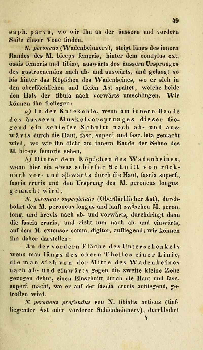 sapli, parva, wo wir ihn an der äussern und vordem Seite dieser Vene finden. N. peroneus (Wadenbeinnerv), steigt längs des innern Randes des M* biceps femoris, hinter dem condjlus ext. ossis femoris und tibiae, auswärts des äussern Ursprunges des g-astrocnemius nach ab- und auswärts, und gelangt so bis hinter das Köpfchen des Wadenbeines, wo er sich in den oberflächliehen und tiefen Ast spaltet, welche beide den Hals der fibula nach vorwärts umschlingen. Wir können ihn freilegen: a) In der Kniekehle, wenn am innern Rande des äussern Musk elvorsprunge s dieser Ge- gend ein schiefer Schnitt nach ab- und aus* wärts durch die Haut, fasc. superf. und fasc. lata gemacht wird, wo wir ihn dicht am innern Rande der Sehne des M. biceps femoris sehen. 6J Hinter dem Köpfchen des Wadenbeines, wenn hier ein etwas schiefer Schnitt von rück- nach vor- und ajbwärts durch die Haut, fascia superf., fascia cruris und den Ursprung* des M. peroneus longus g e m a c h t wird, N. peroneus superficialis (Oberflächlicher Ast), durch- bohrt den M, peroneus longus und lauft zwischen M. peron. long*, und brevis nach ab- und vorwärts, durchdringt dann die fascia cruris, und zieht nun nach ab- und einwärts, auf dem M. extensor comm. digitor» aufliegend; wir können ihn daher darstellen: An dervordern Fläche des Unters chenkels wenn man längs des obern Theiles einer Linie, die man sich von der Mitte des Wadenbeines nach ab- und einwärts gegen die zweite kleine Zehe gezogen dehnt, einen Einschnitt durch die Haut und fasc. superf. macht, wo er auf der fascia cruris aufliegend, ge- troffen wird. N. peroneus profundus seu N. tibialis anticus (tief- liegender 4st oder vorderer Schienbeinnerv), durchbohrt 4