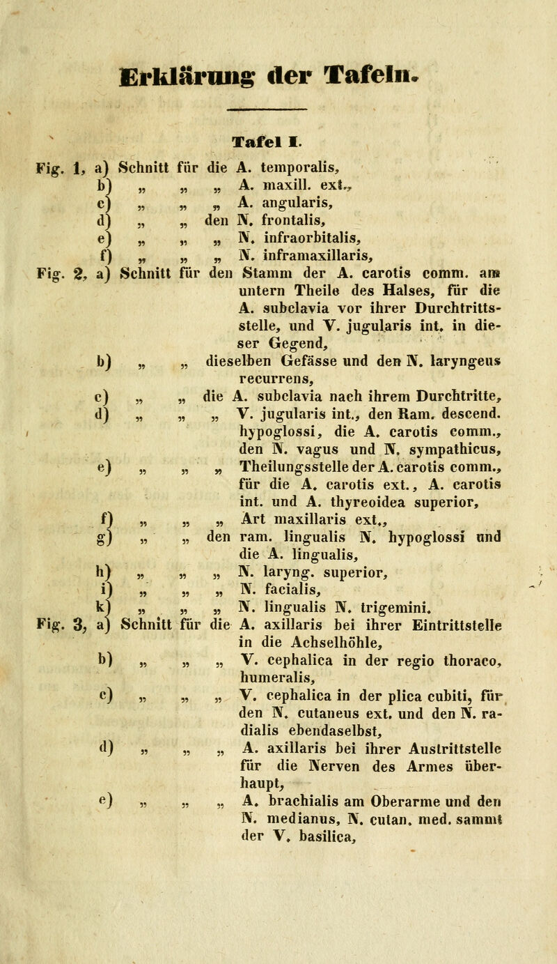 Ei*kläriuis der Tafeln« Tafel I. Fig. 1, a) Schnitt für die A. temporalis, b) „ „ „ A. maxill. ext., c) „ „ „ A. angularis, d) „ „ den N. frontalis, e) „ „ „ N» infraorbitalis, f) „ „ „ N. inframaxillaris, Fig. 2, a) Schnitt für den Stamm der A. carotis comm. ans untern Theile des Halses, für die A. subclavia vor ihrer Durchtritts- stelle, und V. jugularis int» in die- ser Gegend, b) „ „ dieselben Gefässe und den N. laryngeus recurrens, c) „ „ die A. subclavia nach ihrem Durchtritte, d) „ „ „ V. jugularis int., den Ram, descend. hypoglossi, die A, carotis comm., den N. vagus und N, sympathicus, e) „ 5, » Theilungsstelle der A. Carotis comm., für die A, carotis ext., A. carotis int. und A. thyreoidea superior, f) „ „ „ Art maxillaris ext,, g) „ „ den ram. lingualis N, hypoglossi und die A. lingualis, h) „ „ „ N. laryng. superior, i) „ „ „ N. facialis, kl „ „ 5, N. lingualis N, trigemini, Fig. 3; aj Schnitt für die A. axillaris bei ihrer Eintrittslelle in die Achselhöhle, b) „ „ „ V. cephalica in der regio thoraco, humeralis, c) „ „ „ V. cephalica in der plica cubiti, für den N. cutaneus ext. und den IV. ra- dialis ebendaselbst, d) „ „ „ A. axillaris bei ihrer Auslrittstelle für die Nerven des Armes über- haupt, ß) „ 5, „ A. brachialis am Oberarme und den N. medianus, N. cutan» med. samml der V. basilica.