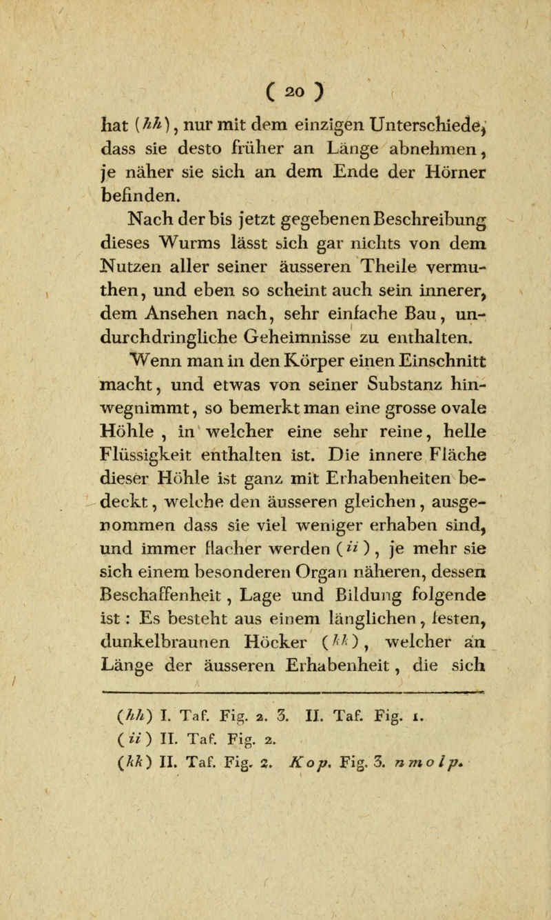 ( ** } hat {hh) 9 nur mit dem einzigen Unterschiede^ dass sie desto früher an Länge abnehmen, je näher sie sich an dem Ende der Hörner befinden. Nach der bis jetzt gegebenen Beschreibung dieses Wurms lässt sich gar nichts von dem Nutzen aller seiner äusseren Theile vermu- then, und eben so scheint auch sein innerer, dem Ansehen nach, sehr einfache Bau, un- durchdringliche Geheimnisse zu enthalten. Wenn man in den Körper einen Einschnitt macht, und etwas von seiner Substanz hin- wegnimmt , so bemerkt man eine grosse ovale Höhle , in welcher eine sehr reine, helle Flüssigkeit enthalten ist. Die innere Fläche dieser Höhle ist ganz mit Erhabenheiten be- deckt , wrelche den äusseren gleichen, ausge- nommen dass sie viel weniger erhaben sind, und immer flacher werden ( « ) , je mehr sie sich einem besonderen Organ näheren, dessen Beschaffenheit, Lage und Bildung folgende ist: Es besteht aus einem länglichen, festen, dunkelbraunen Höcker (ÄA), welcher an Länge der äusseren Erhabenheit, die sich i . _ j . - —«—* (ää) I. Taf. Fig. 2. 3. IL Taf. Fig. i. (ii) IL Taf. Fig. 2.