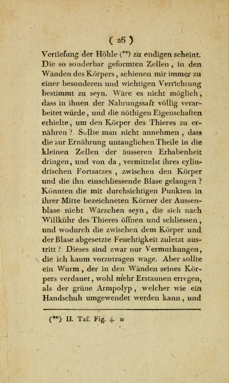 ( »6 > Vertiefung der Höhle (**) zu endigen scheint. Die so sonderbar geformten Zellen , in den Wänden des Körpers , schienen mir immer zu einer besonderen und wichtigen Verrichtung bestimmt zu seyn. Wäre es nicht möglich, dass in ihnen der Nahrungssaft völlig verar- beitet würde, und die nöthigen Eigenschaften erhielte, um den Körper des Thieres zu er- nähren ? Sollte man nicht annehmen , dass die zur Ernährung untauglichen Theile in die kleinen Zellen der äusseren Erhabenheit dringen, und von da , vermittelst ihres cylin- drischen Fortsatzes , zwischen den Körper und die ihn einschliessende Blase gelangen ? Könnten die mit durchsichtigen Punkten in ihrer Mitte bezeichneten Körner der Aussen- blase nicht Wärzchen seyn, die sich nach Willkühr des Thieres öffnen und schliessen, und wodurch die zwischen dem Körper und der Blase abgesetzte Feuchtigkeit zuletzt aus- tritt ? Dieses sind zwar nur Vermuthungen, die ich kaum vorzutragen wage. Aber sollte ein Wurm , der in den Wänden seines Kör- pers verdauet, wohl mehr Erstaunen erregen, als der grüne Armpolyp , welcher wie ein Handschuh umgewendet werden kann, und ■ ' ■■■ ■ .-!!!■■ II ■ I 1.11