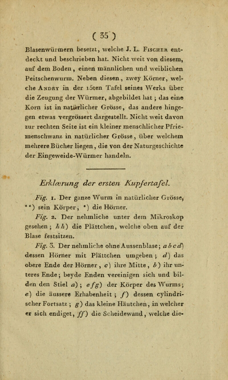 Blasenwürmern besetzt, welche J. L. Fischer ent- deckt und beschrieben hat. Nicht weit von diesem, auf dem Boden , einen männlichen und weiblichen Peitschenwurm. Neben diesen, zwey Körner, wel- che Andry in der löten Tafel seines Werks über die Zeugung der Würmer, abgebildet hat ; das eine Korn ist in natürlicher Grösse, das andere hinge- gen etwas vergrössert dargestellt. Nicht weit davon zur rechten Seite ist ein kleiner menschlicher Pfrie- inenschwanz in natürlicher Grosse, über welchem mehrere Bücher liegen, die von der Naturgeschichte der Eingeweide-Würmer handeln. s. Erklcerung der ersten Kupfertafel. Fig. i. Der ganze Wurm in natürlicher Grösse, **) sein Körper, *) die Hörner. Fig. 2. Der nehmliche unter dem Mikroskop gesehen; hli) die Plättchen, welche oben auf der Blase festsitzen. Fig. 3. Der nehmliche ohne Aussenblase; ab cd) dessen Hörner mit Plättchen umgeben ; d) das obere Ende der Hörner, c) ihre Mitte, b) ihr un- teres Ende; beyde Enden vereinigen sich und bil- den den Stiel d) ; efg) der Körper des Wurms; e) die äussere Erhabenheit ; /) dessen cylindri- scher Fortsatz ; g) das kleine Häutchen, in welcher er sich endiget, ff) die Scheidewand, welche die-