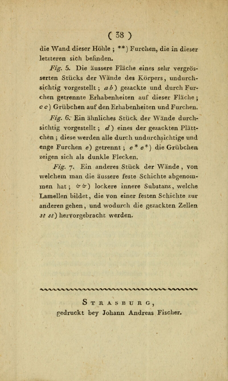 die Wand dieser Höhle ; **) Furchen, die in dieser letzteren sich befinden. Fig. 5. Die äussere Fläche eines sehr vergrös- serten Stücks der Wände des Körpers, undurch- sichtig vorgestellt; ab) gezackte und durch Fur- chen getrennte Erhabenheiten auf dieser Fläche ; c c) Grübchen auf den Erhabenheiten und Furchen. Fig. 67 Ein ähnliches Stück der Wände durch- sichtig vorgestellt; d) eines der gezackten Plätt- chen ; diese werden alle durch undurchsichtige und enge Furchen e) getrennt ; e* e*) die Grübchen zeigen sich als dunkle Flecken. Fig. 7. Ein anderes Stück der Wände , von welchem man die äussere feste Schichte abgenom- men hat; drdr) lockere innere Substanz, welche Lamellen bildet, die von einer festen Schichte zur anderen gehen, und wodurch die gezackten Zellen st st) hervorgebracht werden. ♦V/X/W'^'V*» Strasburg, gedruckt bey Johann Andreas Fischer.