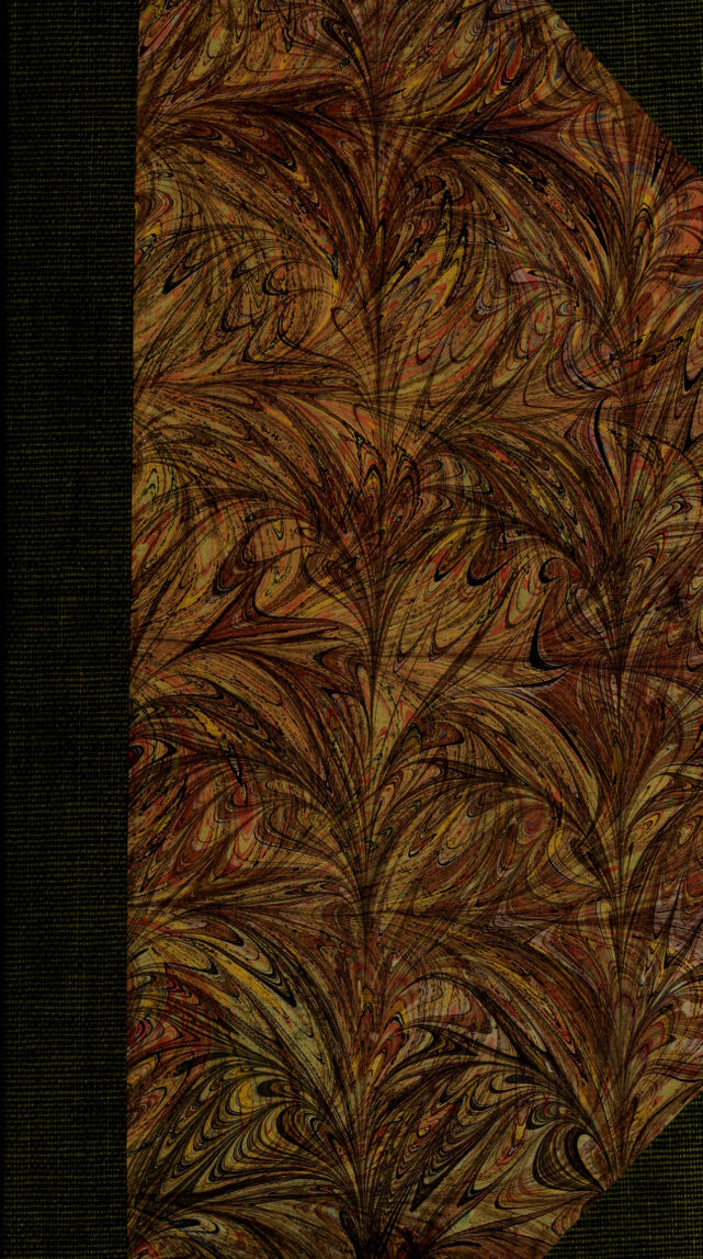 No text description is available for this image