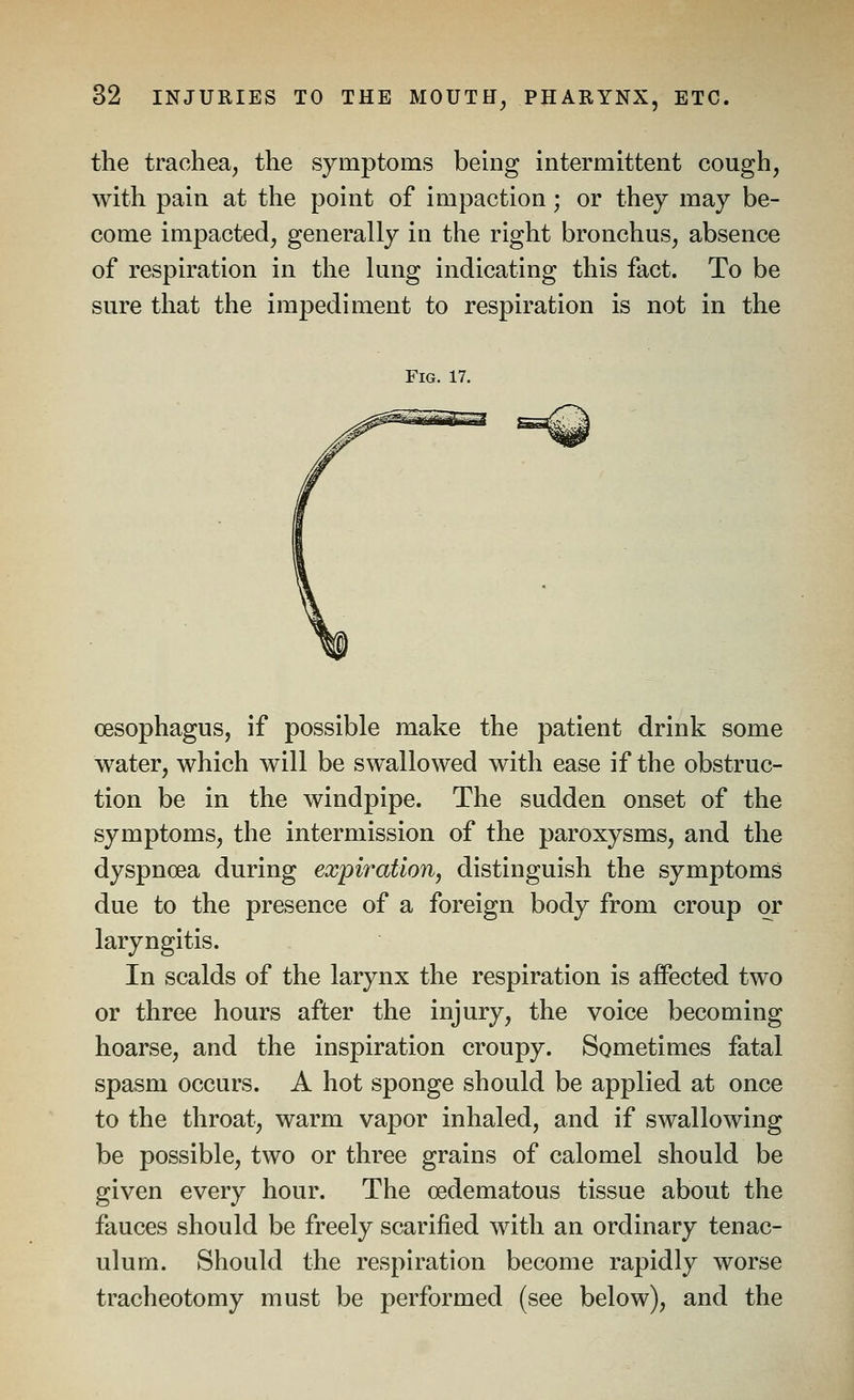 the trachea, the symptoms being intermittent cough, with pain at the point of impaction; or they may be- come impacted, generally in the right bronchus, absence of respiration in the lung indicating this fact. To be sure that the impediment to respiration is not in the Fig. 17. oesophagus, if possible make the patient drink some water, which will be swallowed with ease if the obstruc- tion be in the windpipe. The sudden onset of the symptoms, the intermission of the paroxysms, and the dyspnoea during expiration, distinguish the symptoms due to the presence of a foreign body from croup or laryngitis. In scalds of the larynx the respiration is affected two or three hours after the injury, the voice becoming hoarse, and the inspiration croupy. Sometimes fatal spasm occurs. A hot sponge should be applied at once to the throat, warm vapor inhaled, and if swallowing be possible, two or three grains of calomel should be given every hour. The oedematous tissue about the fauces should be freely scarified with an ordinary tenac- ulum. Should the respiration become rapidly worse tracheotomy must be performed (see below), and the