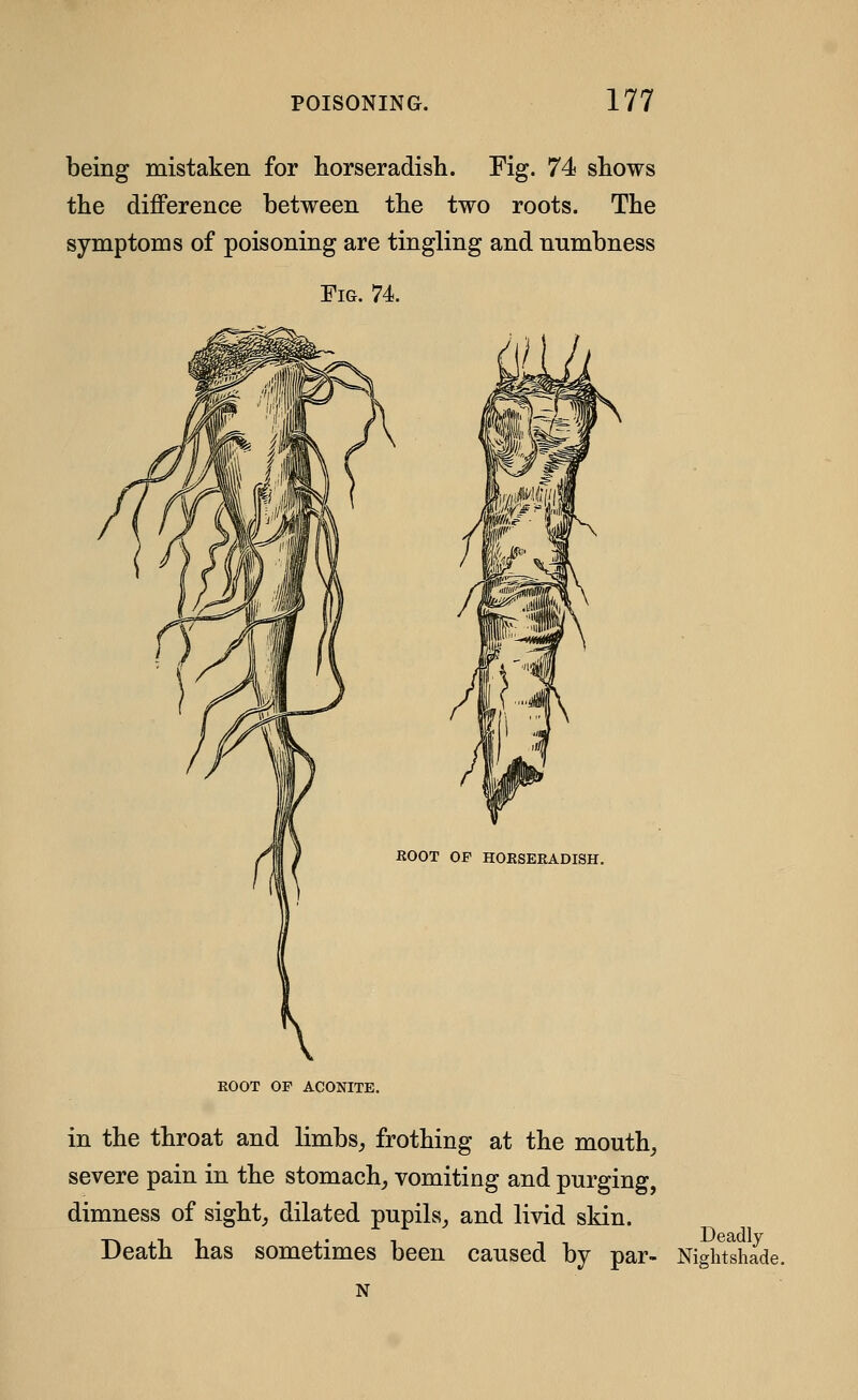 being mistaken for horseradish. Fig. 74 shows the diflPerence between the two roots. The symptoms of poisoning are tingling and numbness Fig. 74. ROOT OF HOKSEEADISH. ROOT OP ACONITE. in the throat and limbs^ frothing at the mouth, severe pain in the stomach,, vomiting and purging, dimness of sight; dilated pupils, and livid skin. Death has sometimes been caused by par- Nightshade.