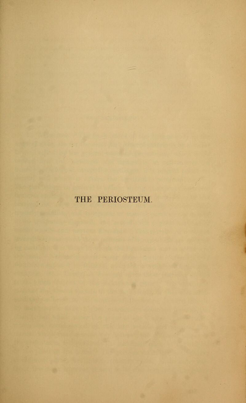 THE PERIOSTEUM.