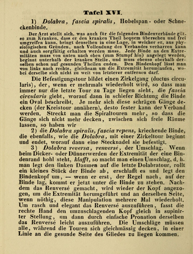 1) Dolabra, fascia spiralis, Hobelspan- oder Schne- ckenbinde. Der Arzt stellt sich, wa9 auch für die folgenden Bindenverbände gilt, so zum Kranken, dass er den kranken Theil bequem übersehen und frei umgreifen kann, bringt denselben in eine Lage, in welcher er, aus phy- siologischen Gründen, nach Vollendung des Verbandes verharren kann und auch sorgfältig erhalten werden muss. Jede Binde an den Extre- mitäten muss von unten nach oben (zum Stumpf hiu) angelegt werden, beginnt unterhalb der kranken Stelle, and muss ebenso oberhalb der- selben schon auf gesunden Theilen enden. Den Bindenkopf lässt man von links nach rechts, gleichsam um die Extremität herumlaufen, wo- bei derselbe sich nicht zu weit von letzterer entfernen darf. Die Befestigungstour bildet einen Zirkelgang (ductus circu- laris), der, wenn er mehrmals wiederholt wird, so dass man immer nur die letzte Tour zu Tage liegen sieht, die fascia circularis giebt, worauf dann in schiefer Richtung die Binde ein Oval beschreibt. Je mehr sich diese schrägen Gänge de- cken (der Kreistour annähern), desto fester kann der Verband werden. Streckt man die Spiraltouren mehr, so dass die Gänge sich nicht mehr decken, zwischen sich freie Räume lassen, so haben wir 2) die Dolabra spiralis, fascia repens, kriechende Binde, die ebenfalls, wie die Dolabra, mit einer Zirkeltour beginnt und endet, worauf dann eine Stecknadel sie befestigt. 3) Dolabra reversa, renverse, der Umschlag. Wenn beim Dicker- oder Dünnerwerden der Extremität der eine Bin- denrand hohl steht, klafft, so macht man einen Umschlag, d. h. man legt den linken Daumen auf die letzte Dolabratour, rollt ein kleines Stück der Binde ab, erschlafft es und legt den Bindenkopf um, — wenn er erst, der Regel nach, auf der Binde lag, kommt er jetzt unter die Binde zu stehen. Nach- dem das Renverse gemacht, wird wieder der Kopf angezo- gen, um die Extremität herumgeführt und an derselben Seite, wenn nöthig, diese Manipulation mehrere Mal wiederholt. Um rasch und elegant das Renverse auszuführen, fasst die rechte Hand den umzuschlagenden Kopf gleich in supinir- ter Stellung, um dann durch einfache Pronation derselben das Renverse leicht auszuführen. Die Umschläge müssen alle, während die Touren sich gleichmässig decken, in einer Linie an die gesunde Seite des Gliedes zu liegen kommen.