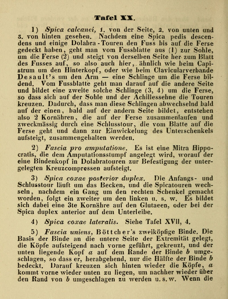 Tafel 1) Spica calcanei, 1. von der Seite, 2. von unten und 3. von hinten gesehen. Nachdem eine Spica pedis descen- dens und einige Dolabra -Touren den Fuss bis auf die Ferse gedeckt haben, geht man vom Fussblatte aus (1) zur Sohle, um die Ferse (2) und steigt von derselben Seite her zum Blatt des Fusses auf, so also auch hier, ähnlich wie beim Capi- strum um den Hinterkopf, oder wie beim Clavicularverbande Desault's um den Arm — eine Schlinge urn die Ferse bil- dend. Vom Fussblatte geht man darauf auf die andere Seite und bildet eine zweite solche Schlinge (3, 4) um die Ferse, so dass sich auf der Sohle und der Achillessehne die Touren kreuzen. Dadurch, dass man diese Schlingen abwechselnd bald auf der einen, bald auf der andern Seite bildet, entstehen also 2 Kornähren, die auf der Ferse zusammenlaufen und zweckmässig durch eine Schlusstour, die vom Blatte auf die Ferse geht und dann zur Einwickelung des Unterschenkels aufsteigt, zusammengehalten werden. 2) Fascia pro amputatione. Es ist eine Mitra flippo- cratis, die dem Amputationsstumpf angelegt wird, worauf der eine Bindenkopf in Dolabratouren zur Befestigung der unter- gelegten Kreuzcompressen aufsteigt. 3) Spica coxae posterior duplex. Die Anfangs- und Schlusstour läuft um das Becken, und die Spicatouren wech- seln, nachdem ein Gang um den rechten Schenkel gemacht worden, folgt ein zweiter um den linken u. s. w. Es bildet sich dabei eine 3te Kornähre auf den Glutaeen, oder bei der Spica duplex anterior auf dem Unterleibe. 4) Spica coxae lateralis. Siehe Tafel XVII, 4. 5) Fascia uniens, Böttcher's zweiköpfige Binde. Die Basis der Binde an die untere Seite der Extremität gelegt, die Köpfe aufsteigend nach vorne geführt, gekreuzt, und der unten liegende Kopf a auf dem Rande der Binde b umge- schlagen, so dass er, herabgehend, nur die Hälfte der Binde b bedeckt. Darauf kreuzen sich hinten wieder die Köpfe, a kommt vorne wieder unten zu liegen, um nachher wieder über den Rand von b umgeschlagen zu werden u. s. w. Wenn die