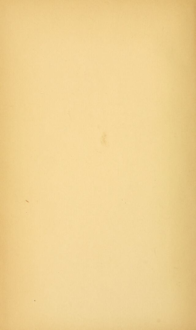 digitised image 2