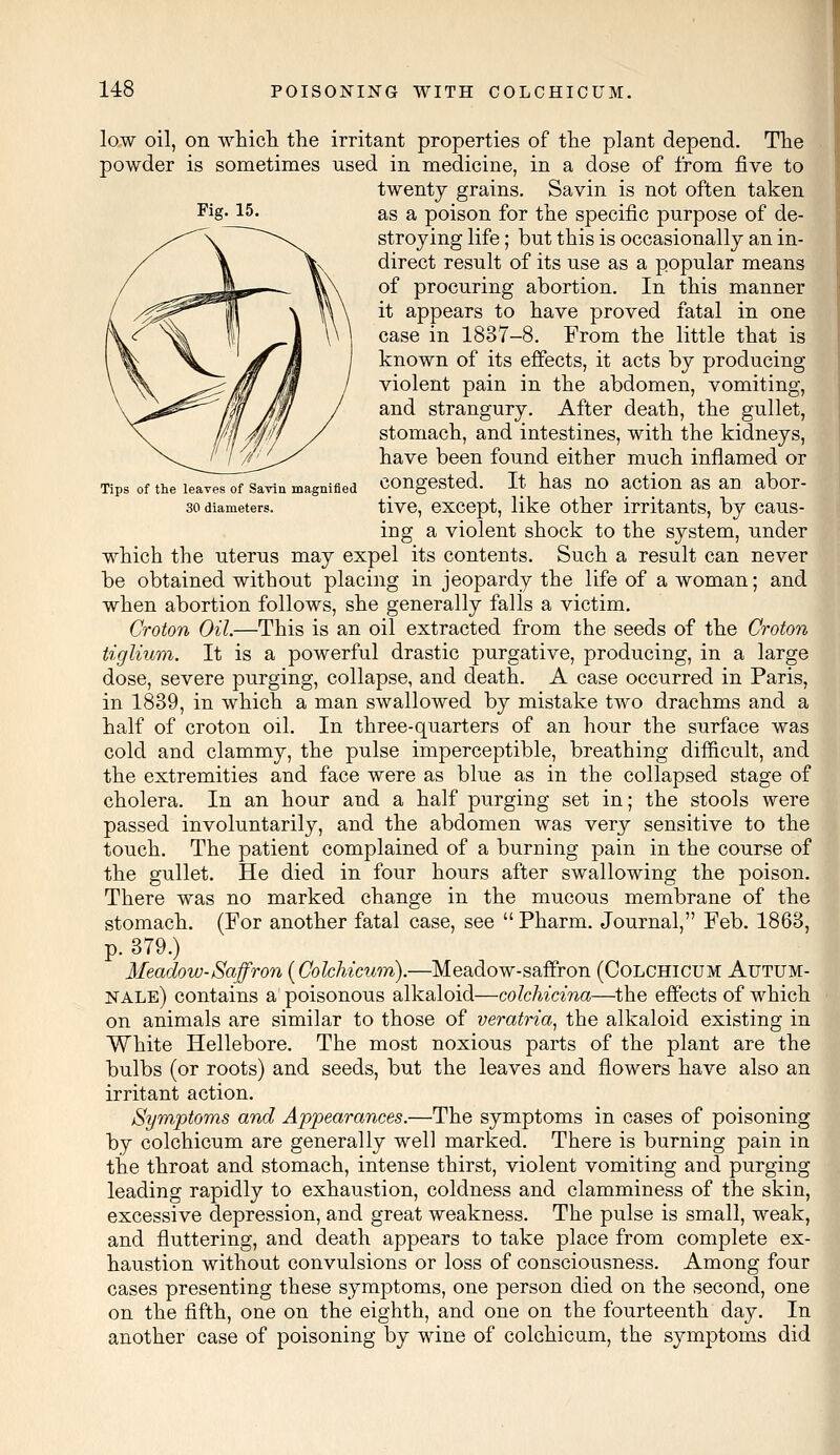 Fig. 15. Tips of the leaves of Savin magnified 30 diameters. law oil, on which the irritant properties of the plant depend. The powder is sometimes used in medicine, in a dose of from five to twenty grains. Savin is not often taken as a poison for the specific purpose of de- stroying life; but this is occasionally an in- direct result of its use as a popular means of procuring abortion. In this manner it appears to have proved fatal in one case in 1837-8. From the little that is known of its effects, it acts by producing violent pain in the abdomen, vomiting, and strangury. After death, the gullet, stomach, and intestines, with the kidneys, have been found either much inflamed or congested. It has no action as an abor- tive, except, like other irritants, by caus- ing a violent shock to the system, under which the uterus may expel its contents. Such a result can never be obtained without placing in jeopardy the life of a woman; and when abortion follows, she generally falls a victim. Croton Oil.—This is an oil extracted from the seeds of the Croton tiglium. It is a powerful drastic purgative, producing, in a large dose, severe purging, collapse, and death. A case occurred in Paris, in 1839, in which a man swallowed by mistake two drachms and a half of croton oil. In three-quarters of an hour the surface was cold and clammy, the pulse imperceptible, breathing difficult, and the extremities and face were as blue as in the collapsed stage of cholera. In an hour and a half purging set in; the stools were passed involuntarily, and the abdomen was very sensitive to the touch. The patient complained of a burning pain in the course of the gullet. He died in four hours after swallowing the poison. There was no marked change in the mucous membrane of the stomach. (For another fatal case, see  Pharm. Journal, Feb. 1863, p. 379.) Meadow-Saffron (Cokhicum).—Meadow-saffron (Colchicum Autum- nale) contains a poisonous alkaloid—colchicina—the effects of which on animals are similar to those of veratria, the alkaloid existing in White Hellebore. The most noxious parts of the plant are the bulbs (or roots) and seeds, but the leaves and flowers have also an irritant action. Symptoms and Appearances.—The symptoms in cases of poisoning by colchicum are generally well marked. There is burning pain in the throat and stomach, intense thirst, violent vomiting and purging leading rapidly to exhaustion, coldness and clamminess of the skin, excessive depression, and great weakness. The pulse is small, weak, and fluttering, and death appears to take place from complete ex- haustion without convulsions or loss of consciousness. Among four cases presenting these symptoms, one person died on the second, one on the fifth, one on the eighth, and one on the fourteenth day. In another case of poisoning by wine of colchicum, the symptoms did