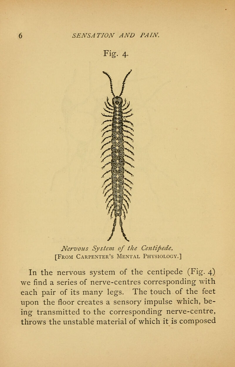 Fig. 4. K Nervous System of the Centipede. [From Carpenter's Mental Physiology.] In the nervous system of the centipede (Fig. 4) we find a series of nerve-centres corresponding with each pair of its many legs. The touch of the feet upon the floor creates a sensory impulse which, be- ing transmitted to the corresponding nerve-centre, throws the unstable material of which it is composed