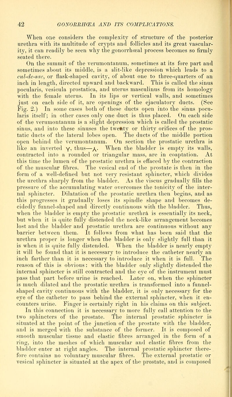 When one considers the complexity of structure of the posterior urethra with its multitude of crypts and follicles and its great vascular- ity, it can readily be seen why the gonorrhoeal process becomes so firmly seated there. On the summit of the verumontanum, sometimes at its fore part and sometimes about its middle, is a slit-like depression which leads to a cul-de-sac, or flask-shaped cavity, of about one to three-quarters of an inch in length, directed upward and backward. This is called the sinus pocularis, vesicula prostatica, and uterus masculinus from its homology with the female uterus. In its lips or vertical walls, and sometimes just on each side of it, are openings of the ejaculatory ducts. (See Fig. 2.) In some cases both of these ducts open into the sinus pocu- laris itself; in other cases only one duct is thus placed. On each side of the verumontanum is a slight depression which is called the prostatic sinus, and into these sinuses the tweaty or thirty orifices of the pros- tatic ducts of the lateral lobes open. The ducts of the middle portion open behind the verumontanum. On section the prostatic urethra is like an inverted Yj ^^^^—/^. When the bladder is empty its walls, contracted into a rounded or triangular mass, are in coaptation. At this time the lumen of the prostatic urethra is effaced by the contraction of the muscular fibres. The vesical end of the prostate is then in the form of a well-defined but not very resistant sphincter, which divides the urethra sharply from the bladder. As the viscus gradually fills the pressure of the accumulating water overcomes the tonicity of the inter- nal sphincter. Dilatation of the prostatic urethra then begins, and as this progresses it gradually loses its spindle shape and becomes de- cidedly funnel-shaped and directly continuous with the bladder. Thus, when the bladder is empty the prostatic urethra is essentially its neck, but when it is quite fully distended the neck-like arrangement becomes lost and the bladder and prostatic urethra are continuous without any barrier between them. It follows from what has been said that the urethra proper is longer when the bladder is only slightly full than it is when it is quite fully distended. When the bladder is nearly empty it will be found that it is necessary to introduce the catheter nearly an inch farther than it is necessary to introduce it when it is full. The reason of this is obvious: with the bladder only slightly distended the internal sphincter is still contracted and the eye of the instrument must pass that part before urine is reached. Later on, when the sphincter is much dilated and the prostatic urethra is transformed into a funnel- shaped cavity continuous with the bladder, it is only necessary for the eye of the catheter to pass behind the external sphincter, Avhen it en- counters urine. Finger is certainly right in his claims on this subject. In this connection it is necessary to more fully call attention to the two sphincters of the prostate. The internal prostatic sphincter is situated at the point of the junction of the prostate with the bladder, and is merged with the substance of the former. It is composed of smooth muscular tissue and elastic fibres arranged in the form of a ring, into the meshes of which muscular and elastic fibres from the bladder enter at right angles. The internal prostatic sphincter there- fore contains no voluntary muscular fibres. The external prostatic or vesical sphincter is situated at the apex of the prostate, and is composed