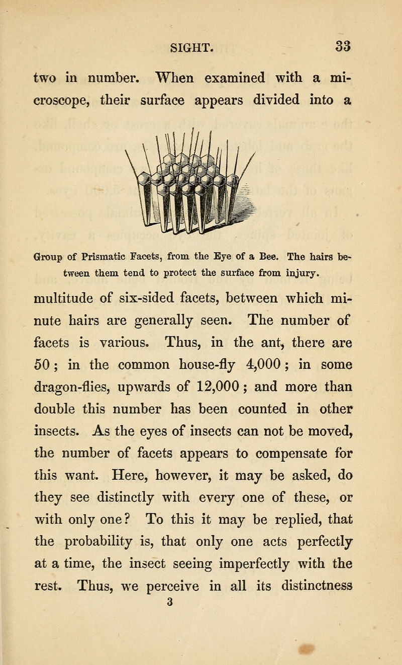 two in number. When examined with a mi- croscope, their surface appears divided into a Group of Prismatic Facets, from the Eye of a Bee. The hairs be- tween, them tend to protect the surface from injury. multitude of six-sided facets, between which mi- nute hairs are generally seen. The number of facets is various. Thus, in the ant, there are 50; in the common house-fly 4,000; in some dragon-flies, upwards of 12,000; and more than double this number has been counted in other insects. As the eyes of insects can not be moved, the number of facets appears to compensate for this want. Here, however, it may be asked, do they see distinctly with every one of these, or with only one ? To this it may be replied, that the probability is, that only one acts perfectly at a time, the insect seeing imperfectly with the rest. Thus, wTe perceive in all its distinctness