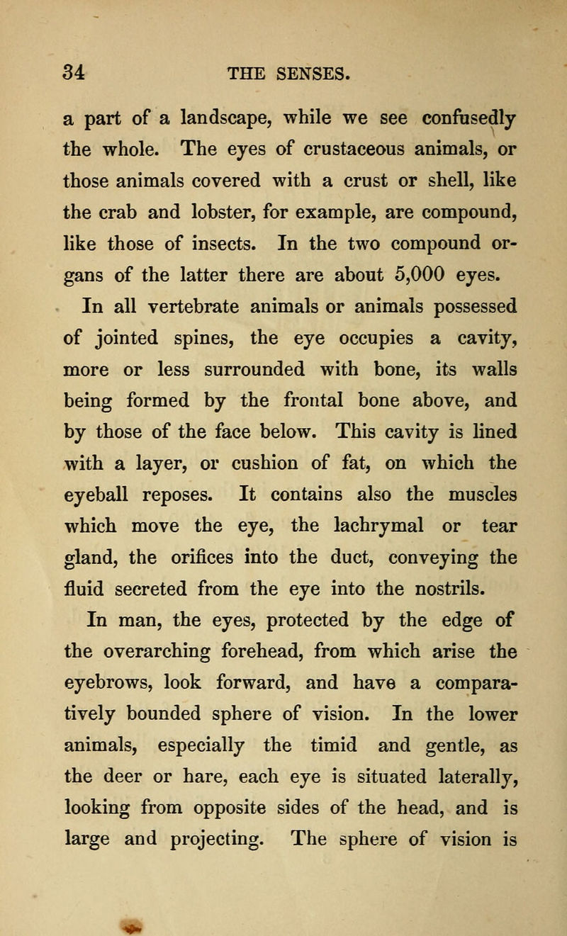 a part of a landscape, while we see confusedly the whole. The eyes of crustaceous animals, or those animals covered with a crust or shell, like the crab and lobster, for example, are compound, like those of insects. In the two compound or- gans of the latter there are about 5,000 eyes. In all vertebrate animals or animals possessed of jointed spines, the eye occupies a cavity, more or less surrounded with bone, its walls being formed by the frontal bone above, and by those of the face below. This cavity is lined with a layer, or cushion of fat, on which the eyeball reposes. It contains also the muscles which move the eye, the lachrymal or tear gland, the orifices into the duct, conveying the fluid secreted from the eye into the nostrils. In man, the eyes, protected by the edge of the overarching forehead, from which arise the eyebrows, look forward, and have a compara- tively bounded sphere of vision. In the lower animals, especially the timid and gentle, as the deer or hare, each eye is situated laterally, looking from opposite sides of the head, and is large and projecting. The sphere of vision is