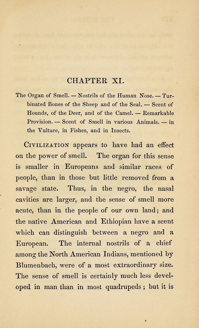 CHAPTER XI. The Organ of Smell. — Nostrils of the Human Nose- — Tur- binated Bones of the Sheep and of the Seal. — Scent of Hounds, of the Deer, and of the Camel. — Remarkable Provision. — Scent of Smell in various Animals. — in the Vulture, in Fishes, and in Insects. Civilization appears to have had an effect on the power of smell. The organ for this sense is smaller in Europeans and similar races of people, than in those but little removed from a savage state. Thus, in the negro, the nasal cavities are larger, and the sense of smell more acute, than in the people of our own land; and the native American and Ethiopian have a scent which can distinguish between a negro and a European. The internal nostrils of a chief among the North American Indians, mentioned by Blumenbach, were of a most extraordinary size. The sense of smell is certainly much less devel- oped in man than in most quadrupeds; but it is