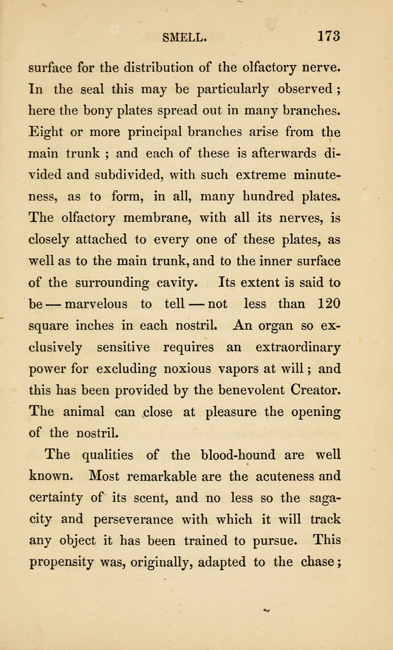 surface for the distribution of the olfactory nerve. In the seal this may be particularly observed ; here the bony plates spread out in many branches. Eight or more principal branches arise from the main trunk ; and each of these is afterwards di- vided and subdivided, with such extreme minute- ness, as to form, in all, many hundred plates. The olfactory membrane, with all its nerves, is closely attached to every one of these plates, as well as to the main trunk, and to the inner surface of the surrounding cavity. Its extent is said to be — marvelous to tell — not less than 120 square inches in each nostril. An organ so ex- clusively sensitive requires an extraordinary power for excluding noxious vapors at will; and this has been provided by the benevolent Creator. The animal can close at pleasure the opening of the nostril. The qualities of the blood-hound are well known. Most remarkable are the acuteness and certainty of its scent, and no less so the saga- city and perseverance with which it will track any object it has been trained to pursue. This propensity was, originally, adapted to the chase;