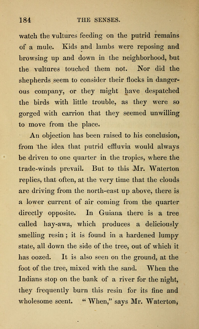 watch the vultures feeding on the putrid remains of a mule. Kids and lambs were reposing and browsing up and down in the neighborhood, but the vultures touched them not. Nor did the shepherds seem to consider their flocks in danger- ous company, or they might have despatched the birds with little trouble, as they were so gorged with carrion that they seemed unwilling to move from the place. An objection has been raised to his conclusion, from the idea that putrid effluvia would always be driven to one quarter in the tropics, where the trade-winds prevail. But to this Mr. Waterton replies, that often, at the very time that the clouds are driving from the north-east up above, there is a lower current of air coming from the quarter directly opposite. In Guiana there is a tree called hay-awa, which produces a deliciously smelling resin; it is found in a hardened lumpy state, all down the side of the tree, out of which it has oozed. It is also seen on the ground, at the foot of the tree, mixed with the sand. When the Indians stop on the bank of a river for the night, they frequently burn this resin for its fine and wholesome scent. When, says Mr. Waterton,