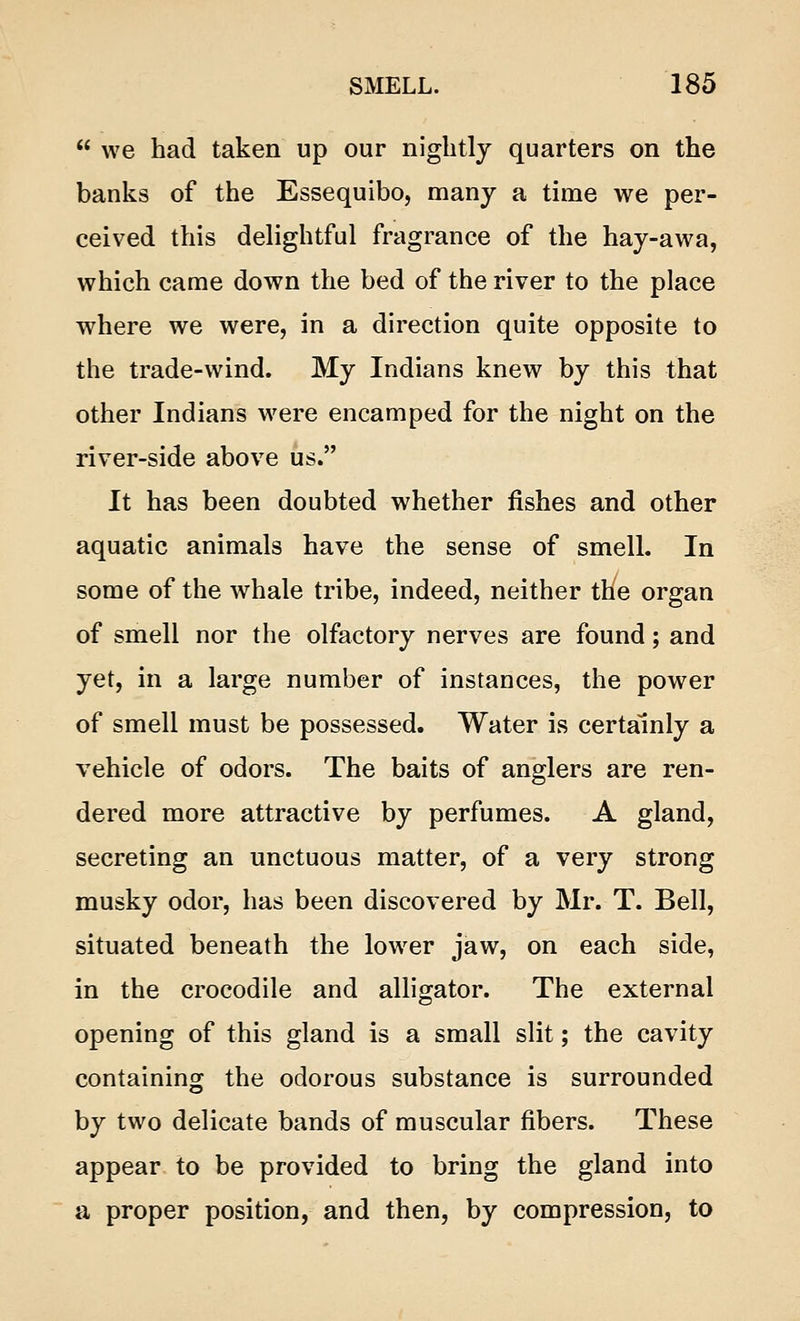 we had taken up our nightly quarters on the banks of the Essequibo, many a time we per- ceived this delightful fragrance of the hay-awa, which came down the bed of the river to the place where we were, in a direction quite opposite to the trade-wind. My Indians knew by this that other Indians were encamped for the night on the river-side above us. It has been doubted whether fishes and other aquatic animals have the sense of smell. In some of the whale tribe, indeed, neither the organ of smell nor the olfactory nerves are found; and yet, in a large number of instances, the power of smell must be possessed. Water is certainly a vehicle of odors. The baits of anglers are ren- dered more attractive by perfumes. A gland, secreting an unctuous matter, of a very strong musky odor, has been discovered by Mr. T. Bell, situated beneath the lower jaw, on each side, in the crocodile and alligator. The external opening of this gland is a small slit; the cavity containing the odorous substance is surrounded by two delicate bands of muscular fibers. These appear to be provided to bring the gland into a proper position, and then, by compression, to
