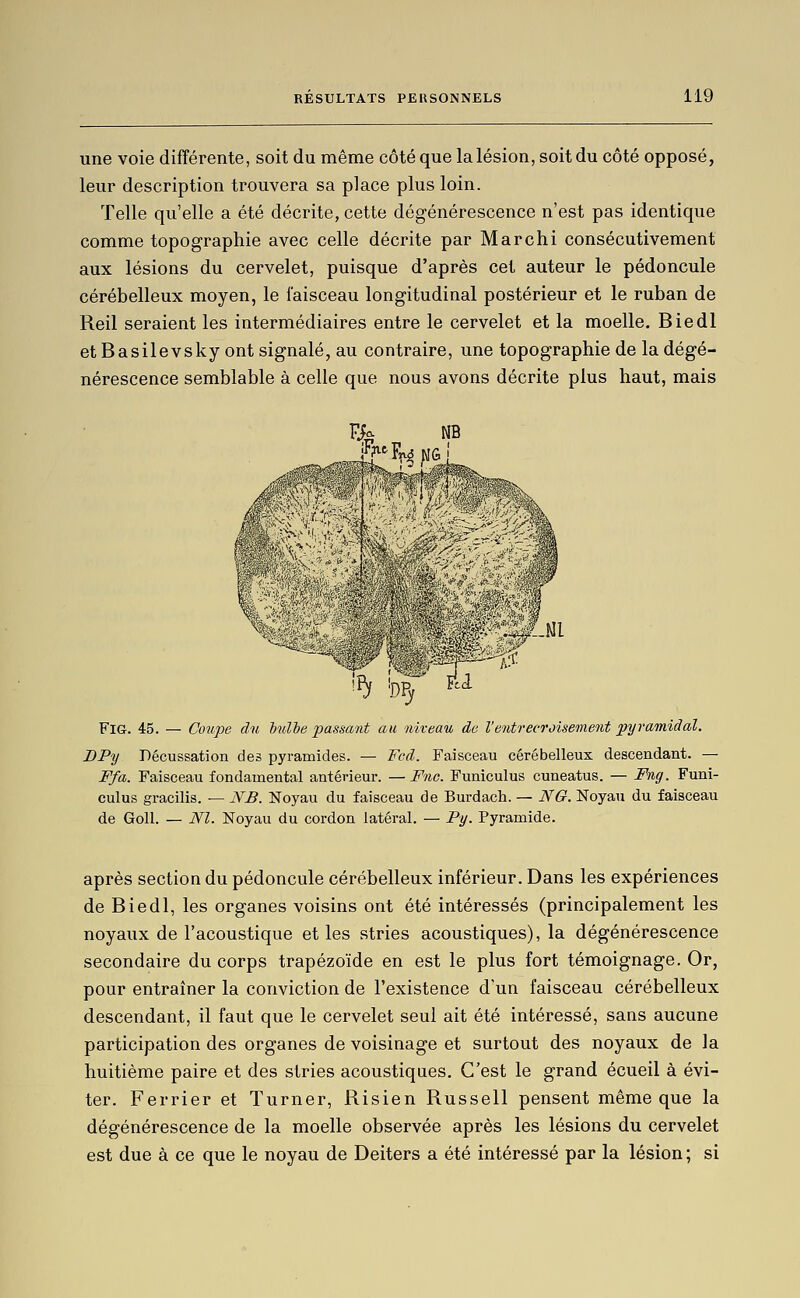 une voie différente, soit du même côté que lalésion, soit du côté opposé, leur description trouvera sa place plus loin. Telle qu'elle a été décrite, cette dégénérescence n'est pas identique comme topographie avec celle décrite par Marchi consécutivement aux lésions du cervelet, puisque d'après cet auteur le pédoncule cérébelleux moyen, le faisceau longitudinal postérieur et le ruban de Reil seraient les intermédiaires entre le cervelet et la moelle. Biedl etBasilevsky ont signalé, au contraire, une topographie de la dégé- nérescence semblable à celle que nous avons décrite plus haut, mais r% NB FiG. 45. — Coupe du hulhe passant au niteau de Ventrecroisement pyramidal. BPy Décussation des pyramides. — Fcd. Faisceau cérébelleux descendant. — Ffa. Faisceau fondamental antérieur. — Fnc. Funiculus cuneatus. — F%g. Funi- culus gracilis. — NB. Noyau du faisceau de Burdach. — NQ. Noyau du faisceau de Goll. — NI. Noyau du cordon latéral. — Py. Pyramide. après section du pédoncule cérébelleux inférieur. Dans les expériences de Biedl, les organes voisins ont été intéressés (principalement les noyaux de l'acoustique et les stries acoustiques), la dégénérescence secondaire du corps trapézoïde en est le plus fort témoignage. Or, pour entraîner la conviction de l'existence d'un faisceau cérébelleux descendant, il faut que le cervelet seul ait été intéressé, sans aucune participation des organes de voisinage et surtout des noyaux de la huitième paire et des stries acoustiques. C'est le grand écueil à évi- ter. Ferrier et Turner, Risien Russell pensent même que la dégénérescence de la moelle observée après les lésions du cervelet est due à ce que le noyau de Deiters a été intéressé par la lésion ; si