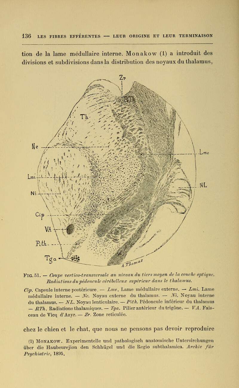 tion de la lame médullaire interne. Monakow (1) a introduit des divisions et subdivisions dans la distribution des noyaux du thalamus, FiG. 51. — Coupe vertioo-transversaU au niveau du tiers moyen de la couche o-ptique. Radiations du pédoncule cérébelleux supérieur dans le thalamus. dp. Capsule interne postérieure. — Lme. Lame médullaire externe. — Lmi. Lame médullaire interne. — Ne. Noyau externe du thalamus. — Ni. No^'au interne du thalamus. — NL. Noyau lenticulaire. — Pi^A. Pédoncule inférieur du thalamus — RTh. Radiations thalamiques. — Tga. Pilier antérieur dutrigône.— VA. Fais- ceau de Vicq d'Azyr. — Zr. Zone réticulée. chez le chien et le chat, que nous ne pensons pas devoir reproduire (1) Monakow. Experimentelle und pathologisch anatomische Untersirchungen iiber die Haubeurejion den Schhûgel und die Regio subthalamica. Archiv filr Psychiatrie, 1895.