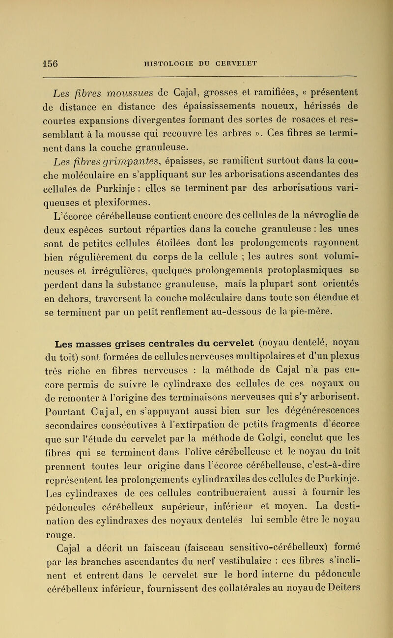 Les fibres moussues de Cajal, grosses et ramifiées, « présentent de distance en distance des épaississements noueux, hérissés de courtes expansions divergentes formant des sortes de rosaces et res- semblant à la mousse qui recouvre les arbres ». Ces fibres se termi- nent dans la couche granuleuse. Les fibres grimpantes, épaisses, se ramifient surtout dans la cou- che moléculaire en s'appliquant sur les arborisations ascendantes des cellules de Purkinje : elles se terminent par des arborisations vari- queuses et plexiformes. L'écorce cérébelleuse contient encore des cellules de la névroglie de deux espèces surtout réparties dans la couche granuleuse : les unes sont de petites cellules étoilées dont les prolongements rayonnent bien régulièrement du corps de la cellule ; les autres sont volumi- neuses et irrégulières, quelques prolongements protoplasmiques se perdent dans la substance granuleuse, mais la plupart sont orientés en dehors, traversent la couche moléculaire dans toute son étendue et se terminent par un petit renflement au-dessous de la pie-mère. Les masses grises centrales du cervelet (noyau dentelé, noyau du toit) sont formées de cellules nerveuses multipolaires et d'un plexus très riche en fibres nerveuses : la méthode de Cajal n'a pas en- core permis de suivre le cylindraxe des cellules de ces noyaux ou de remonter à l'origine des terminaisons nerveuses qui s'y arborisent. Pourtant Cajal, en s'appuyant aussi bien sur les dégénérescences secondaires consécutives à l'extirpation de petits fragments d'écorce que sur l'étude du cervelet par la méthode de Golgi, conclut que les fibres qui se terminent dans l'olive cérébelleuse et le noyau du toit prennent toutes leur origine dans l'écorce cérébelleuse, c'est-à-dire représentent les prolongements cylindraxiles des cellules de Purkinje. Les cylindraxes de ces cellules contribueraient aussi à fournir les pédoncules cérébelleux supérieur, inférieur et moyen. La desti- nation des cylindraxes des noyaux dentelés lui semble être le noyau rouge. Cajal a décrit un faisceau (faisceau sensitivo-cérébelleux) formé par les branches ascendantes du nerf vestibulaire : ces fibres s'incli- nent et entrent dans le cervelet sur le bord interne du pédoncule cérébelleux inférieur, fournissent des collatérales au noyau de Deiters