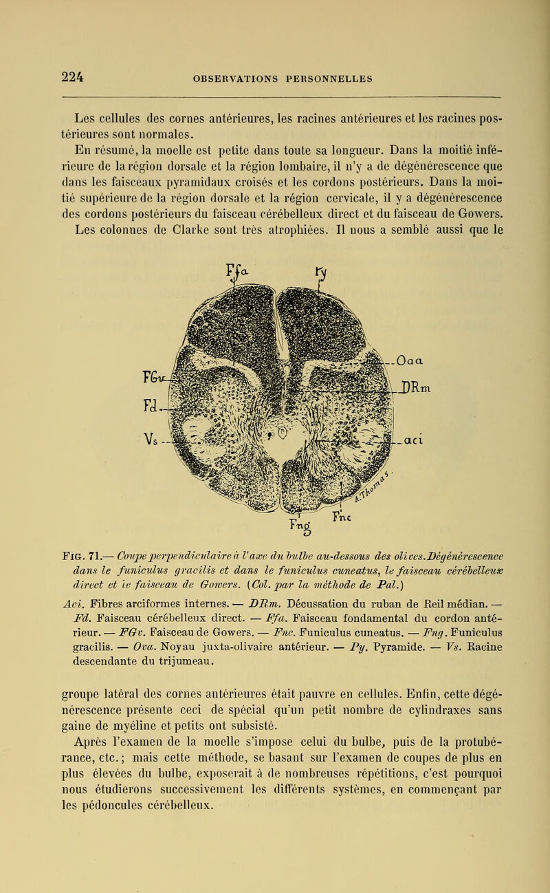 Les cellules des cornes antérieures, les racines antérieures et les racines pos- térieures sont normales. En résumé, la moelle est petite dans toute sa longueur. Dans la moitié infé- rieure de la région dorsale et la région lombaire, il n'y a de dégénérescence que dans les faisceaux pyramidaux croisés et les cordons postérieurs. Dans la moi- tié supérieure de la région dorsale et la région cervicale, il y a dégénérescence des cordons postérieurs du faisceau cérébelleux direct et du faisceau de Gowers. Les colonnes de Clarke sont très atrophiées. Il nous a semblé aussi que le Fia. 71.— Cou]}ex>erpendicitlaireà l'axe du bulbe au-dessous des olices.Dégénérescence dans le fimiculus graeilis et dans le funiculus cuneatus, le faisceau cérébelleux direct et le faisceau de Gowers. [Col. par la méthode de Pal.) Aci. Fibres arciformes internes. — DRm. Décussation du ruban de Eeil médian. — Fd. Faisceau cérébelleux direct. — Ffa. Faisceau fondamental du cordon anté- rieur. — FGv. Faisceau de Gowers. — Fnc. Funiculus cuneatus. — Fiig. Funiculus graeilis. — Ova. Noyau juxta-olivaire antérieur. — Py. Pyramide. — Vs. Eacine descendante du trijumeau. groupe latéral des cornes antérieures était pauvre en cellules. Enfin, cette dégé- nérescence présente ceci de spécial qu'un petit nombre de cylindraxes sans gaine de myéline et petits ont subsisté. Après l'examen de la moelle s'impose celui du bulbe, puis de la protubé- rance, etc.; mais cette méthode, se basant sur l'examen de coupes de plus en plus élevées du bulbe, exposerait à de nombreuses répétitions, c'est pourquoi nous étudierons successivement les différents systèmes, en commençant par les pédoncules cérébelleux.