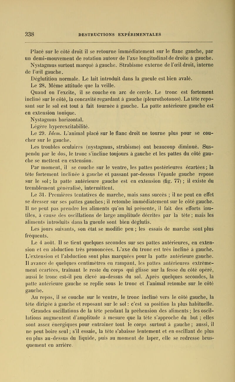 Placé sur le côté droit il se retourne immédiatement sur le flanc gauche, par un demi-mouvement de rotation autour de l'axe longitudinal de droite à gauche. Nystagmus surtout marqué à gauche. Strabisme externe de l'oeil droit, interne de l'œil gauche. Déglutition normale. Le lait introduit dans la gueule est bien avalé. Le 28. Même attitude que la veille. Quand on l'excite, il se couche en arc de cercle. Le tronc est fortement incliné sur le côté, la concavité regardant à gauche (pleurothotonos). La tète repo- sant sur le sol est tout à fait tournée à gauche. La patte antérieure gauche est en extension Ionique. Nystagmus horizontal. Légère hyperexcitabiUté. Le 29. Idem. L'animal placé sur le flanc droit ne tourne plus pour se cou- cher sur le gauche. Les troubles oculaires (nystagmus, strabisme) ont beaucoup diminué. Sus- pendu par le dos, le tronc s'incline toujours à gauche et les pattes du côté gau- che se mettent en extension. Par moment, il se couche sur le ventre, les pattes postérieures écartées ; la tète fortement inclinée à gauche et passant par-dessus l'épaule gauche repose sur le sol ; la patte antérieure gauche est en extension (fig. 77) ; il existe du tremblement généralisé, intermittent. Le 3L Premières tentatives de marche, mais sans succès ; il ne peut en effet se dresser sur ses pattes gauches; il retombe immédiatement sur le côté gauche. Il ne peut pas prendre les aliments qu'on lui présente, il fait des eff'orts inu- tiles, à cause des oscillations de large amplitude décrites par la tète ; mais les aliments introduits dans la gueule sont bien déglutis. Les jours suivants, son état se modifie peu ; les essais de marche sont plus fréquents. Le 4 août. Il se tient quelques secondes sur ses pattes antérieures, en exten- sion et en abduction très prononcées. L'axe du tronc est très incliné à gauche. L'extension et l'abduction sont plus marquées pour la patte antérieure gauche. Il avance de quelques centimètres en rampant, les pattes antérieures extrême- ment écartées, traînant le reste du corps qui gUsse sur la fesse du côté opéré, aussi le tronc est-il peu élevé au-dessus du sol. Après quelques secondes, la patte antérieure gauche se replie sous le tronc et l'animal retombe sur le côté gauche. Au repos, il se couche sur le ventre, le tronc incliné vers le côté gauche, la tète dirigée à gauche et reposant sur le sol : c'est sa position la plus habituelle. Grandes oscillations de la tète pendant la préhension des aliments ; les oscil- lations augmentent d'amplitude à mesure que la tète s'approche du but ; elles sont assez énergiques pour entraîner tout le corps surtout à gauche ; aussi, il ne peut boire seul ; s'il essaie, la tète s'abaisse lentement et en oscillant de plus en plus au-dessus du liquide, puis au moment de laper, elle se redresse brus- quement en arrière.