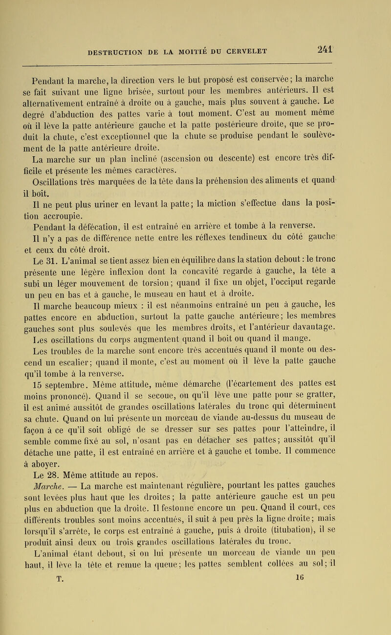 Pendant la marche, la direction vers le but proposé est conservée; la marche se fait suivant une ligne brisée, surtout pour les membres antérieurs. Il est alternativement entraîné à droite ou à gauche, mais plus souvent à gauche. Le degré d'abduction des pattes varie à tout moment. C'est au moment même où il lève la patte antérieure gauche et la patte postérieure droite, que se pro- duit la chute, c'est exceptionnel que la chute se produise pendant le soulève- ment de la patte antérieure droite. La marche sur un plan incliné (ascension ou descente) est encore très dif- ficile et présente les mêmes caractères. Oscillations très marquées de la tête dans la préhension des aUments et quand il boit. Il ne peut plus uriner en levant la patte ; la miction s'effectue dans la posi- tion accroupie. Pendant la défécation, il est entraîné en arrière et tombe à la renverse. Il n'y a pas de différence nette entre les réflexes tendineux du côté gauche et ceux du côté droit. Le 31. L'animal se tient assez bien en équilibre dans la station debout : le tronc présente une légère inflexion dont la concavité regarde à gauche, la tête a subi un léger mouvement de torsion ; quand il fixe un objet, l'occiput regarde un peu en bas et à gauche, le museau en haut et à droite. Il marche beaucoup mieux : il est néanmoins entraîné un peu à gauche, les pattes encore en abduction, surtout la patte gauche antérieure; les membres gauches sont plus soulevés que les membres droits, et l'antérieur davantage. Les oscillations du corps augmentent quand il boit ou quand il mange. Les troubles de la marche sont encore très accentués quand il monte ou des- cend un escalier; quand il monte, c'est au moment où il lève la patte gauche qu'il tombe à la renverse. 15 septembre. Même attitude, même démarche (l'écartement des pattes est moins prononcé). Quand il se secoue, ou qu'il lève une patte pour se gratter, il est animé aussitôt de grandes oscillations latérales du tronc qui déterminent sa chute. Quand on lui présente un morceau de viande au-dessus du museau de façon à ce qu'il soit obUgé de se dresser sur ses pattes pour l'atteindre, il semble comme fixé au sol, n'osant pas en détacher ses pattes; aussitôt qu'il détache une patte, il est entraîné en arrière et à gauche et tombe. Il commence à aboyer. Le 28. Même attitude au repos. Marche. — La marche est maintenant réguUère, pourtant les pattes gauches sont levées plus haut que les droites ; la patte antérieure gauche est un peu plus en abduction que la droite. Il festonne encore un peu. Quand il court, ces différents troubles sont moins accentués, il suit à peu près la hgne droite ; mais lorsqu'il s'arrête, le corps est entraîné à gauche, puis à droite (tilubalion), il se produit ainsi deux ou trois grandes oscillations latérales du tronc. L'animal étant debout, si on lui présente un morceau de viande un peu haut, il lève la tète et remue la queue; les pattes semblent collées au sol; il T. 16