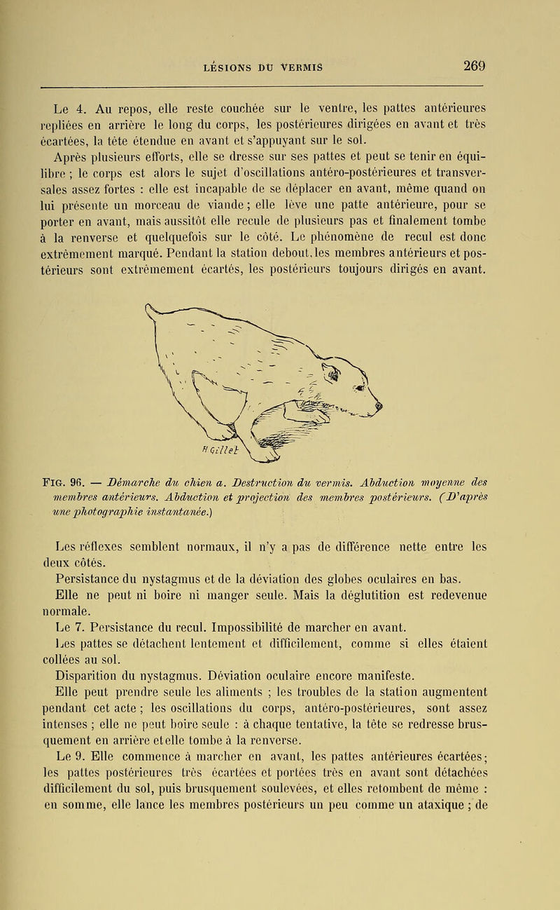 Le 4. Au repos, elle reste couchée sur le ventre, les pattes antérieures repliées en arrière le long du corps, les postérieures dirigées en avant et très écartées, la tète étendue en avant et s'appuyant sur le sol. Après plusieurs efforts, elle se dresse sur ses pattes et peut se tenir en équi- libre ; le corps est alors le sujet d'oscillations antéro-postérieures et transver- sales assez fortes : elle est incapable de se déplacer en avant, même quand on lui présente un morceau de viande; elle lève une patte antérieure, pour se porter en avant, mais aussitôt elle recule de plusieurs pas et finalement tombe à la renverse et quelquefois sur le côté. Le phénomène de recul est donc extrêmement marqué. Pendant la station debout, les membres antérieurs et pos- térieurs sont extrêmement écartés, les postérieurs toujours dirigés en avant. HQillet \^ FiG. 96. — Démarche du chien a. Bestruction du vermis. Adduction, moyenne des membo'es antérieurs. Ahdïiction et projection des membres postérieurs. (Diaprés une photographie ijistantanée.) Les réflexes semblent normaux, il n'y a pas de différence nette entre les deux côtés. Persistance du nystagmus et de la déviation des globes oculaires en bas. Elle ne peut ni boire ni manger seule. Mais la déglutition est redevenue normale. Le 7. Persistance du recul. Impossibilité de marcher en avant. Les pattes se détachent lentement et difficilement, comme si elles étaient collées au sol. Disparition du nystagmus. Déviation oculaire encore manifeste. Elle peut prendre seule les aliments ; les troubles de la station augmentent pendant cet acte ; les oscillations du corps, antéro-postérieures, sont assez intenses ; elle ne peut boire seule : à chaque tentative, la tête se redresse brus- quement en arrière etelle tombe à la renverse. Le 9. Elle commence à marcher en avant, les pattes antérieures écartées; les pattes postérieures très écartées et portées très en avant sont détachées difficilement du sol, puis brusquement soulevées, et elles retombent de même : en somme, elle lance les membres postérieurs un peu comme un ataxique ; de