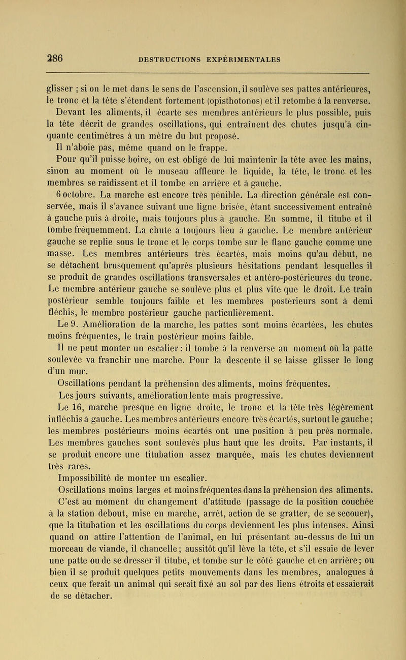 glisser ; si on le met dans le sens do l'ascension, il soulève ses pattes antérieures, le tronc et la tête s'étendent fortement (opisthotonos) et il retombe à la renverse. Devant les aliments, il écarte ses membres antérieurs le plus possible, puis la tète décrit de grandes oscillations, qui entraînent des chutes jusqu'à cin- quante centimètres à un mètre du but proposé. Il n'aboie pas, même quand on le frappe. Pour qu'il puisse boire, on est obligé de lui maintenir la tête avec les mains, sinon au moment où le museau affleure le liquide, la tète, le tronc et les membres se raidissent et il tombe en arrière et à gauche. 6 octobre. La marche est encore très pénible. La direction générale est con- servée, mais il s'avance suivant une ligne brisée, étant successivement entraîné à gauche puis à droite, mais toujours plus à gauche. En somme, il titube et il tombe fréquemment. La chute a toujours lieu à gauche. Le membre antérieur gauche se replie sous le tronc et le corps tombe sur le flanc gauche comme une masse. Les membres antérieurs très écartés, mais moins qu'au début, ne se détachent brusquement qu'après plusieurs hésitations pendant lesquelles il se produit de grandes oscillations transversales et antéro-postérieures du tronc. Le membre antérieur gauche se soulève plus et plus vite que le droit. Le train postérieur semble toujours faible et les membres postérieurs sont à demi fléchis, le membre postérieur gauche particulièrement. Le 9. Amélioration de la marche, les pattes sont moins écartées, les chutes moins fréquentes, le train postérieur moins faible. Il ne peut monter un escalier : il tombe à la renverse au moment où la patte soulevée va franchir une marche. Pour la descente il se laisse glisser le long d'un mur. Oscillations pendant la préhension des aliments, moins fréquentes. Les jours suivants, amélioration lente mais progressive. Le 16, marche presque en ligne droite, le tronc et la tête très légèrement infléchis à gauche. Les membres antérieurs encore très écartés, surtout le gauche ; les membres postérieurs moins écartés ont une position à peu près normale. Les membres gauches sont soulevés plus haut que les droits. Par instants, il se produit encore une titubation assez marquée, mais les chutes deviennent très rares. Impossibilité de monter un escalier. Oscillations moins larges et moins fréquentes dans la préhension des aliments. C'est au moment du changement d'attitude (passage de la position couchée à la station debout, mise en marche, arrêt, action de se gratter, de se secouer), que la titubation et les oscillations du corps deviennent les plus intenses. Ainsi quand on attire l'attention de l'animal, en lui présentant au-dessus de lui un morceau de viande, il chancelle; aussitôt qu'il lève la tête, et s'il essaie de lever une patte ou de se dresser il titube, et tombe sur le côté gauche et en arrière; ou bien il se produit quelques petits mouvements dans les membres, analogues à ceux que ferait un animal qui serait fixé au sol par des liens étroits et essaierait de se détacher.