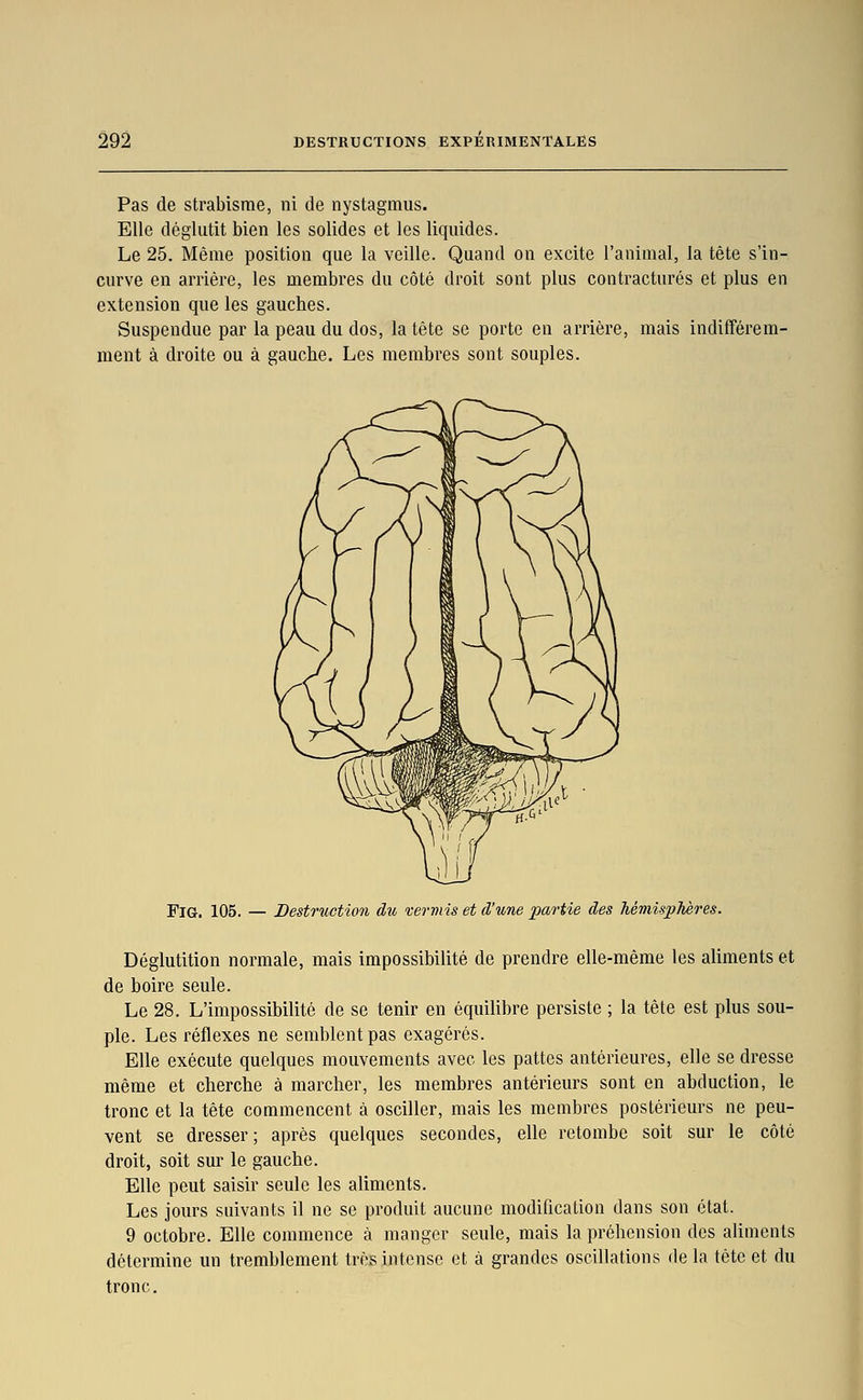 Pas de strabisme, ni de nystagmus. Elle déglutit bien les solides et les liquides. Le 25. Même position que la veille. Quand on excite l'animal, la tête s'in- curve en arrière, les membres du côté droit sont plus contractures et plus en extension que les gauches. Suspendue par la peau du dos, la tête se porte en arrière, mais indiiférem- ment à droite ou à gauche. Les membres sont souples. FiG. 105. — Destruction du vermis et d'une paTtie des hémisphères. Déglutition normale, mais impossibilité de prendre elle-même les aliments et de boire seule. Le 28. L'impossibilité de se tenir en équilibre persiste ; la tête est plus sou- ple. Les réflexes ne semblent pas exagérés. Elle exécute quelques mouvements avec les pattes antérieures, elle se dresse même et cherche à marcher, les membres antérieurs sont en abduction, le tronc et la tête commencent à osciller, mais les membres postérieurs ne peu- vent se dresser ; après quelques secondes, elle retombe soit sur le côté droit, soit sur le gauche. Elle peut saisir seule les aliments. Les jours suivants il ne se produit aucune modification dans son état. 9 octobre. Elle commence à manger seule, mais la préhension des aliments détermine un tremblement très intense et à grandes oscillations delà tête et du tronc.